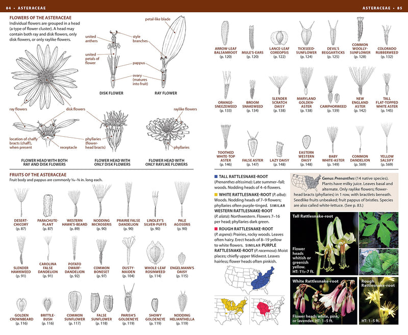 National Wildlife Federation Field Guide to Wildflowers of North America,Used