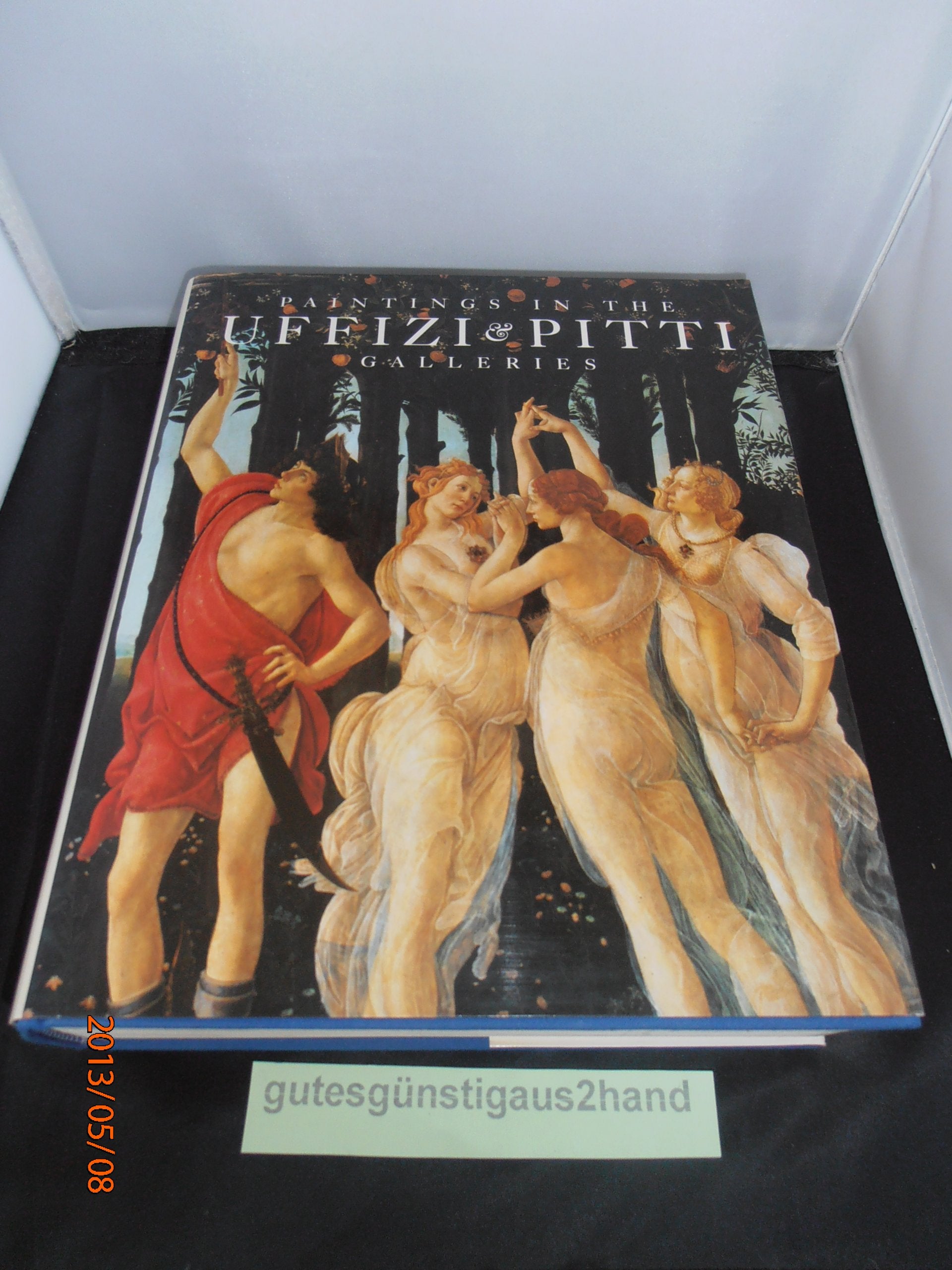 Paintings in the Uffizi and Pitti Galleries,Used