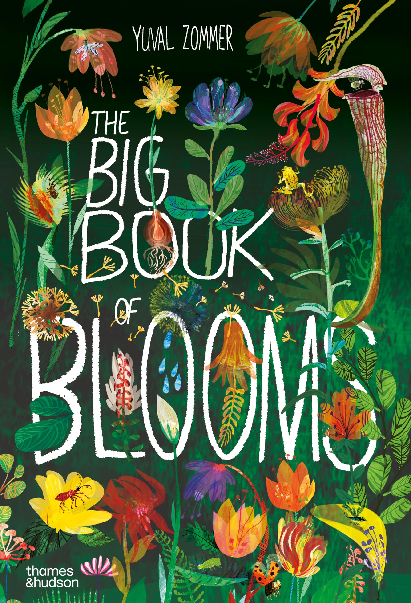 The Big Book of Blooms (The Big Book Series),Used