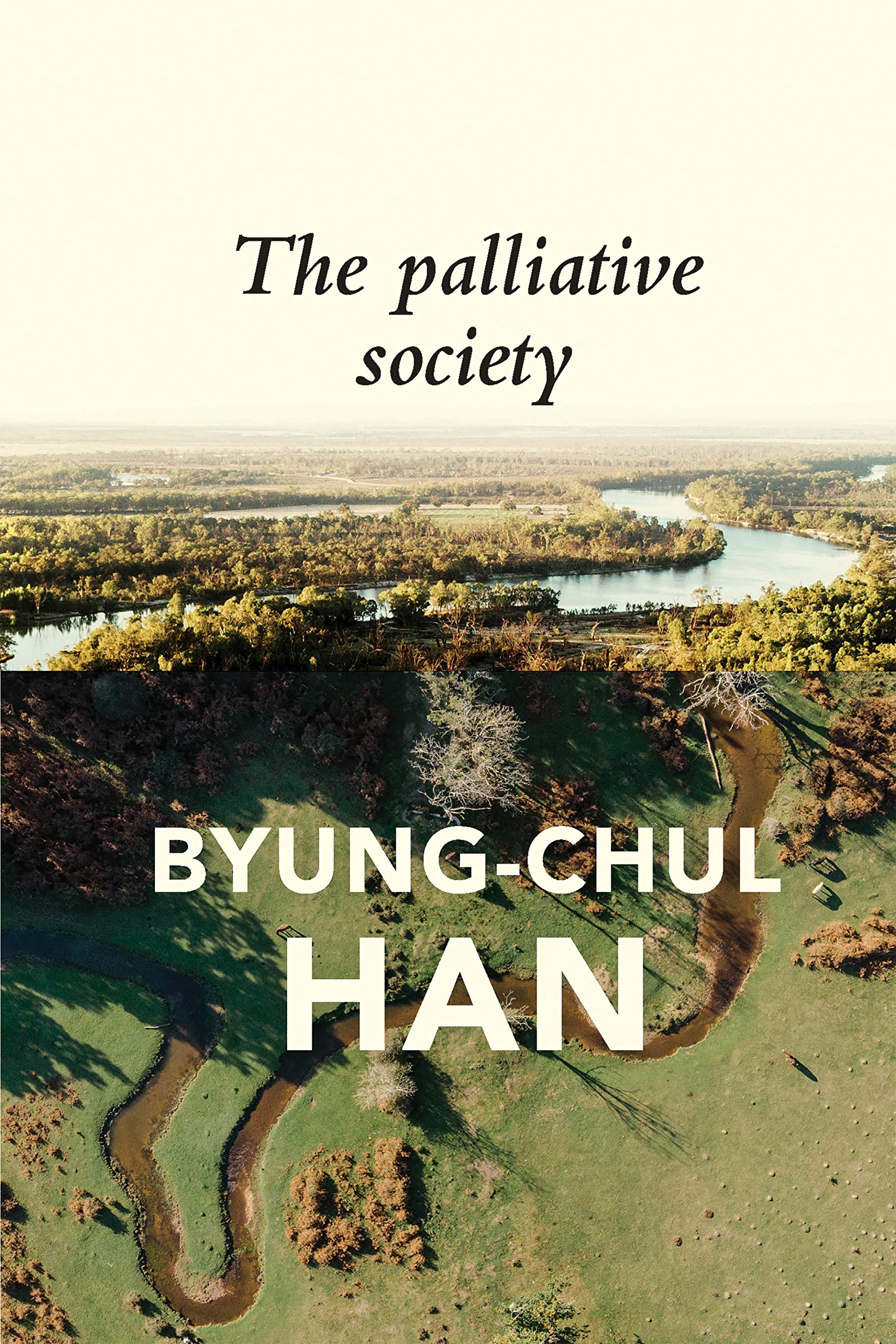 The Palliative Society: Pain Today,Used
