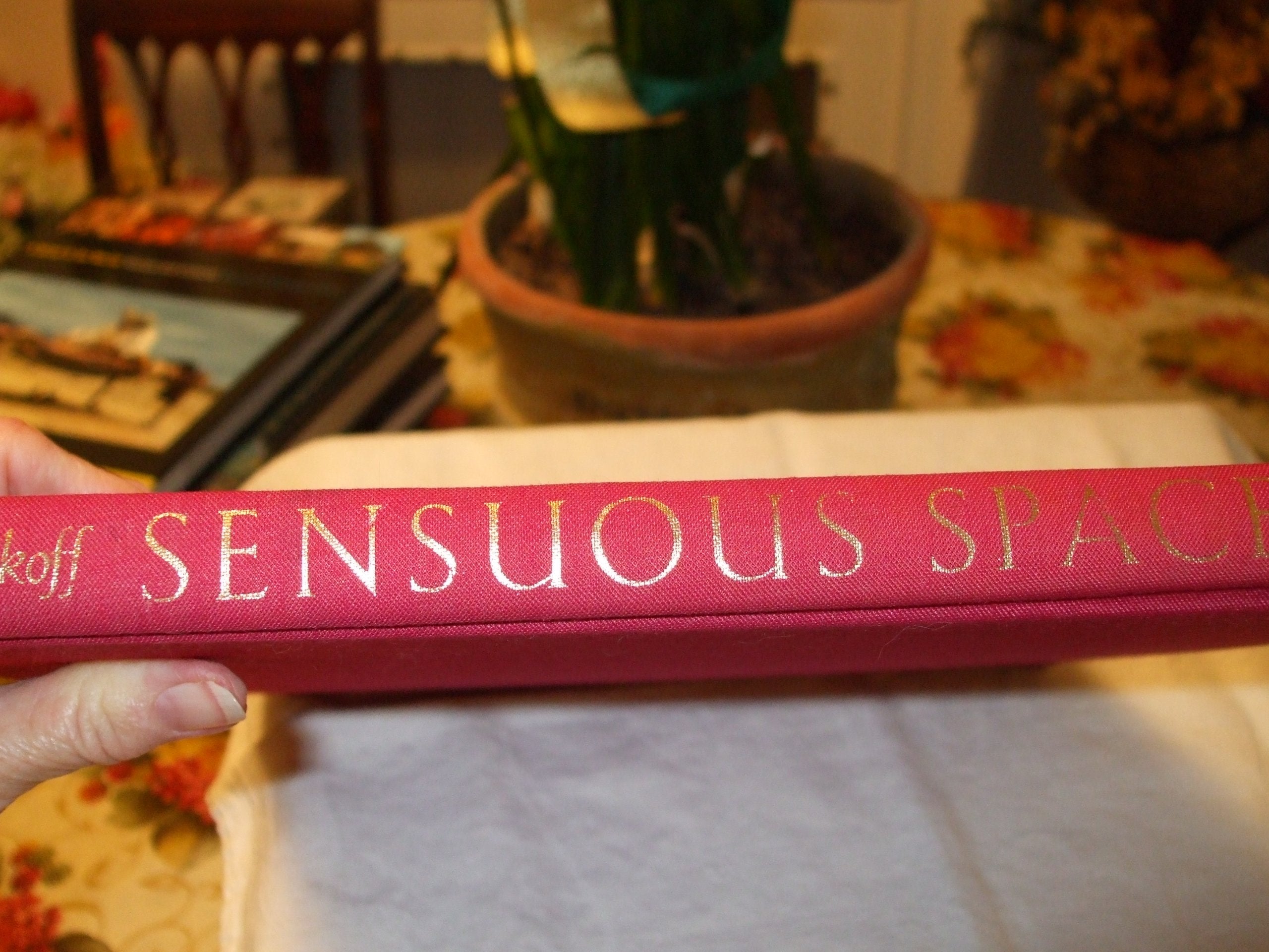 Sensuous Spaces: Designing Your Erotic Interiors (How to Create Romantic, Seductive, and Sensuous Settings,Used