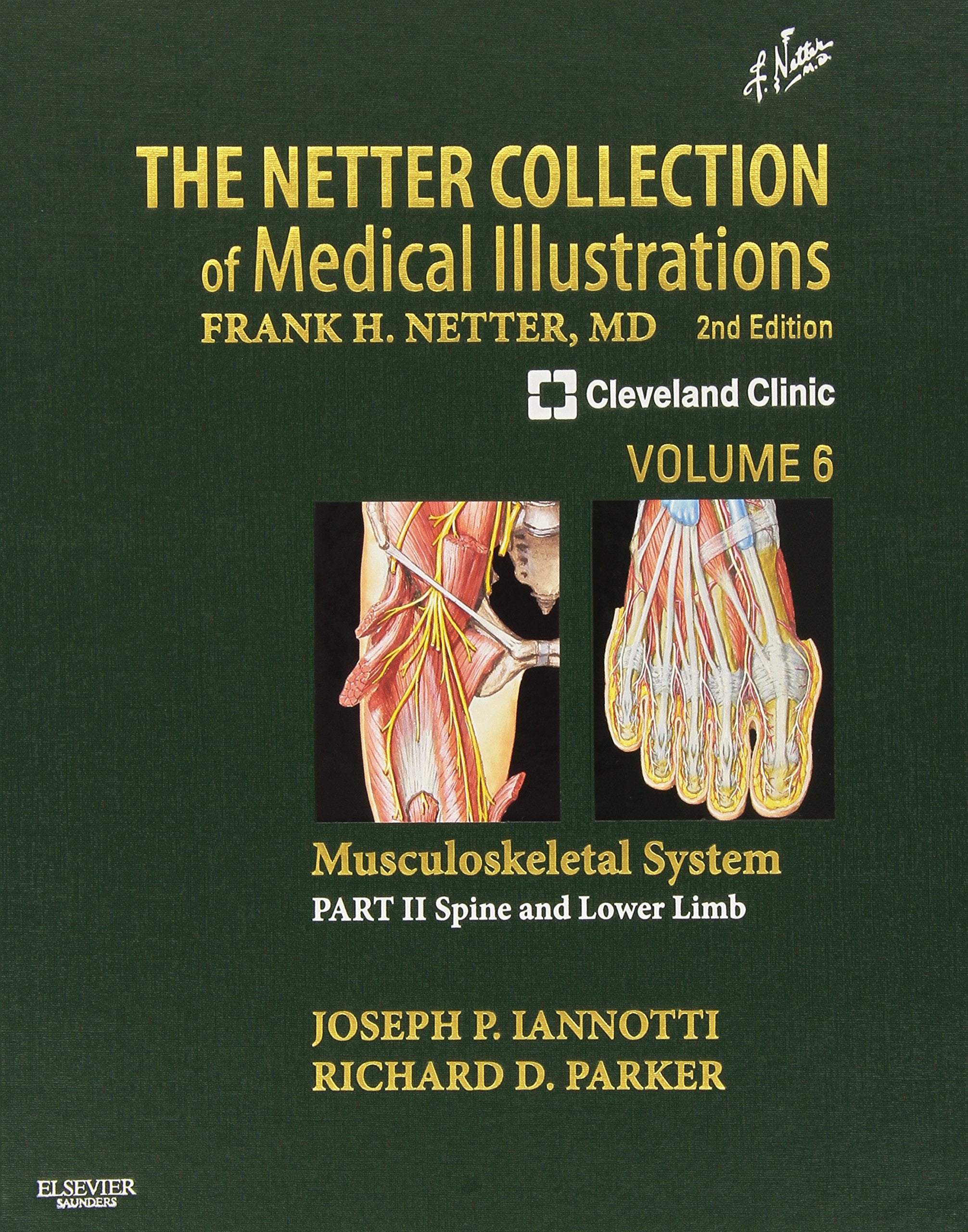 The Netter Collection of Medical Illustrations: Musculoskeletal System, Volume,New