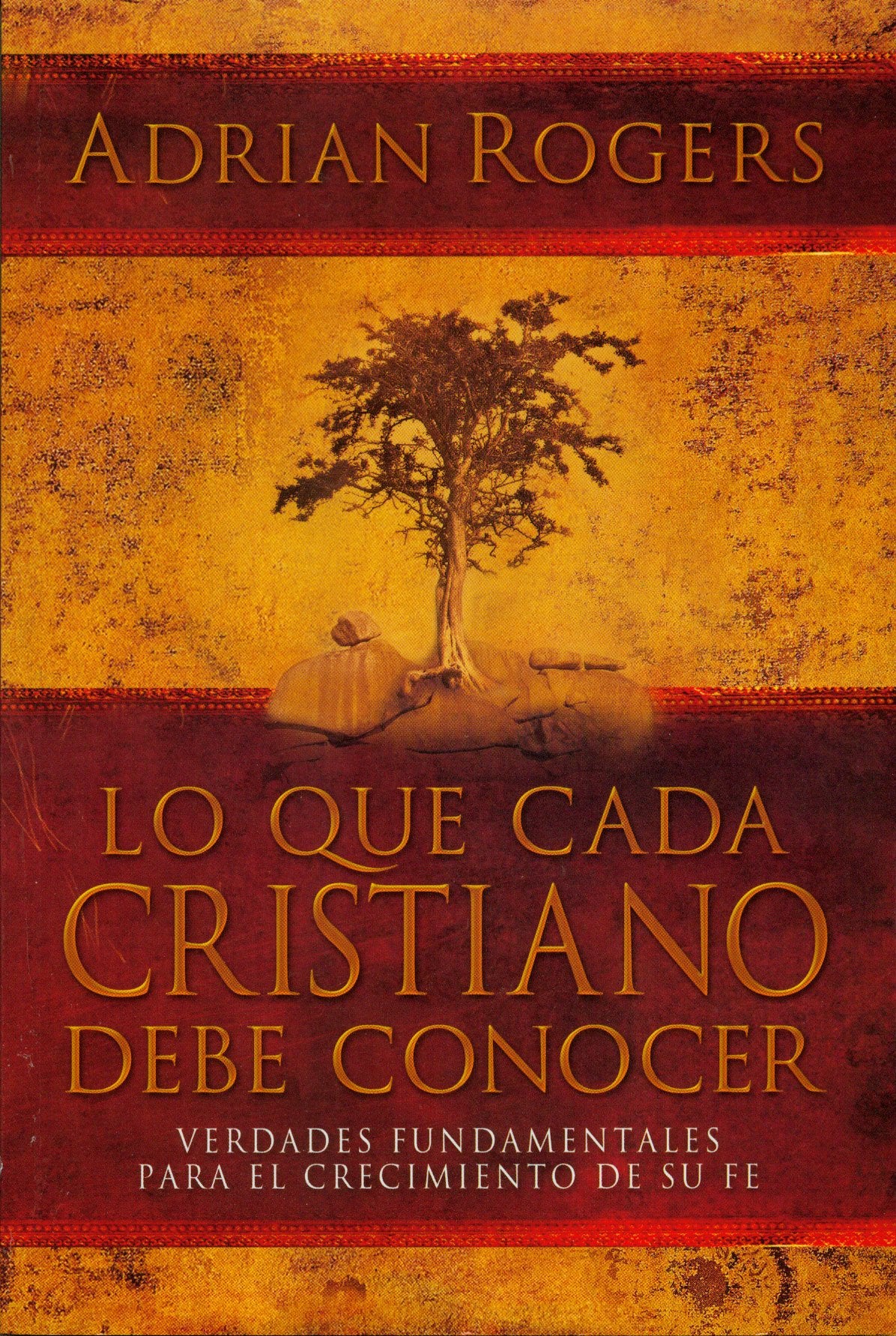 Lo que Cada Cristiano debe Conocer (Spanish Edition),Used