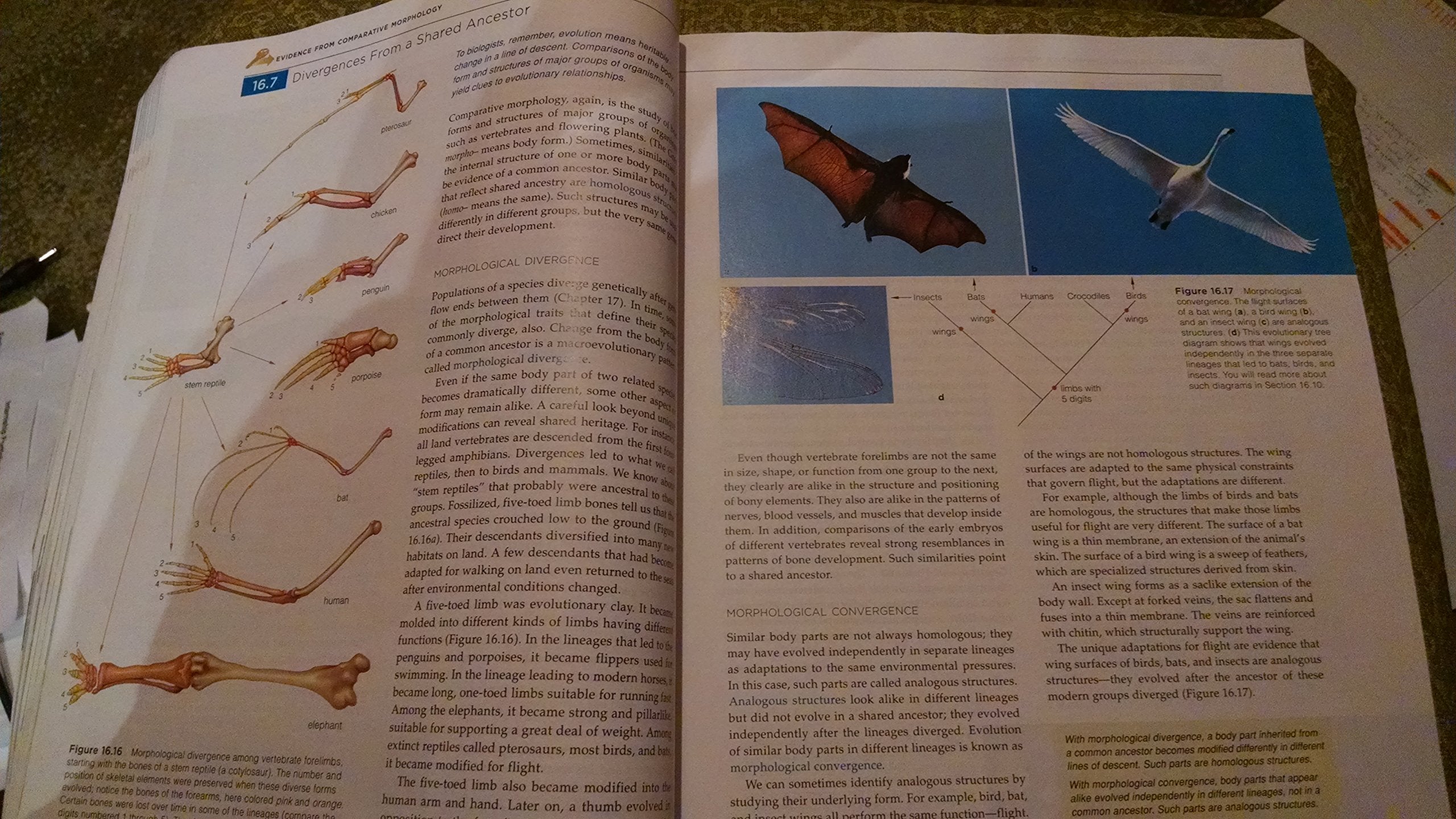 Biology: Concepts and Applications (Available Titles CengageNOW),Used