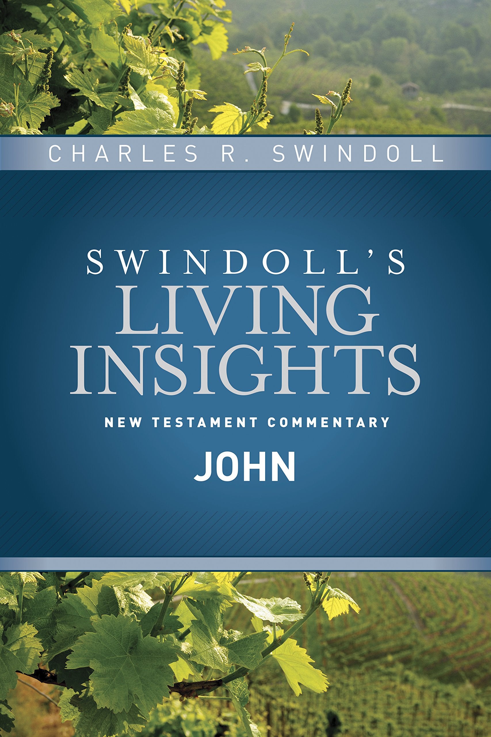 Insights on John (Swindoll's Living Insights New Testament Commentary),Used