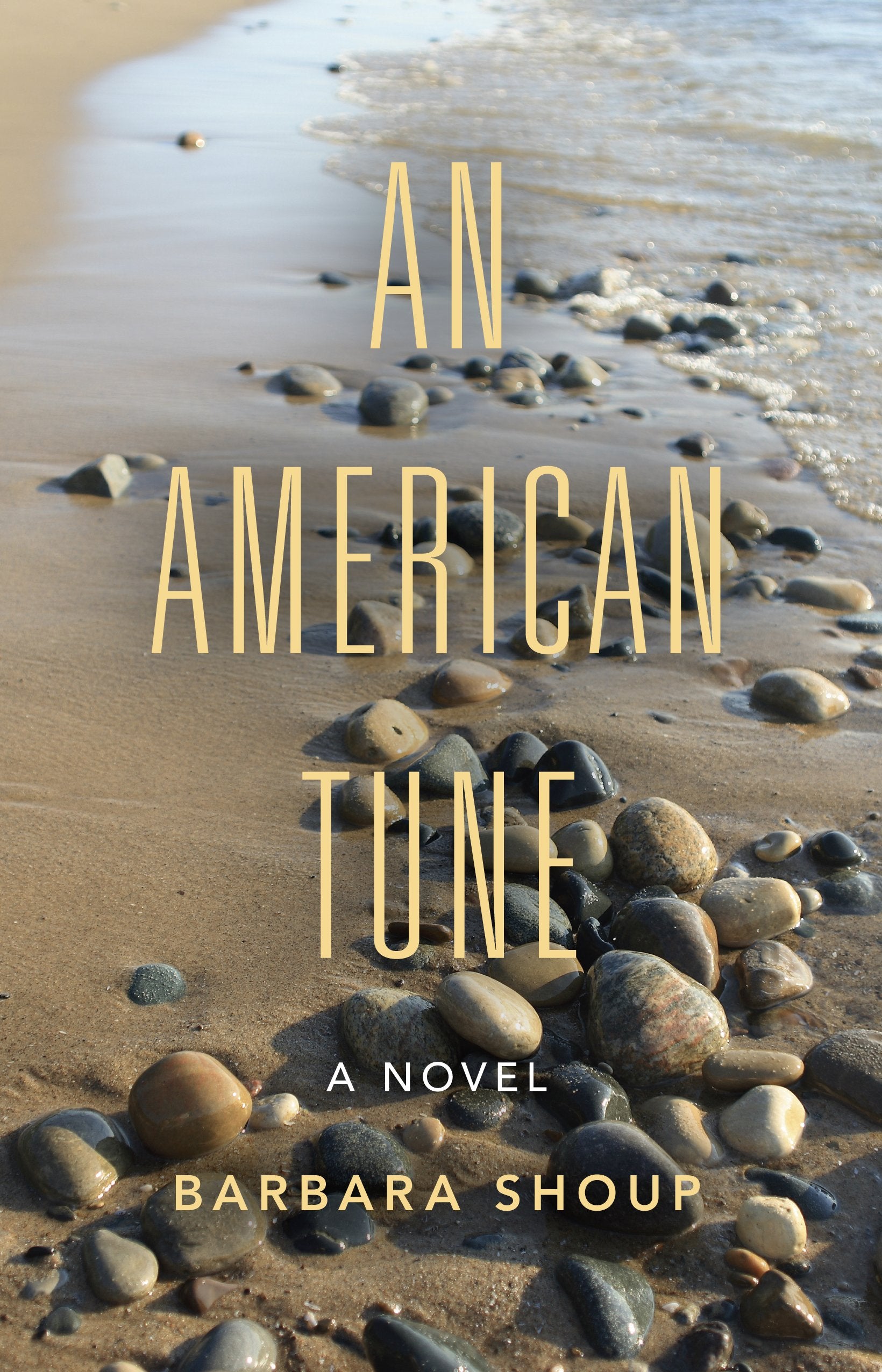 An American Tune: A Novel (Break Away Books),Used