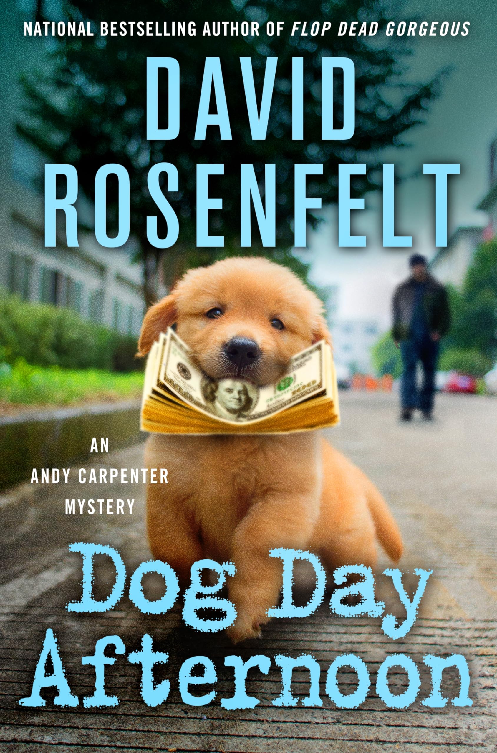 Dog Day Afternoon: An Andy Carpenter Mystery (An Andy Carpenter Novel, 29),New