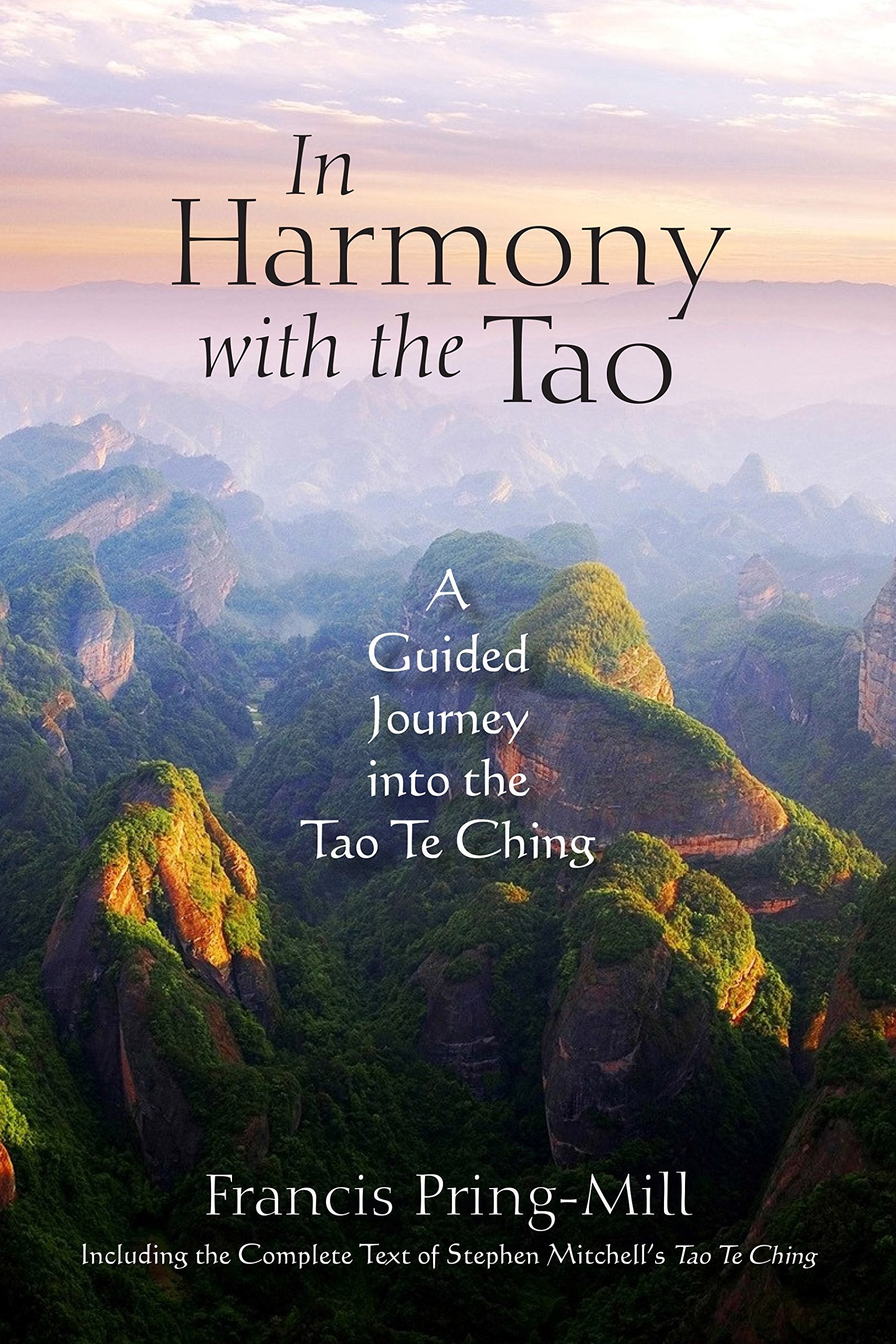 In Harmony with the Tao: A Guided Journey into the Tao Te Ching,Used