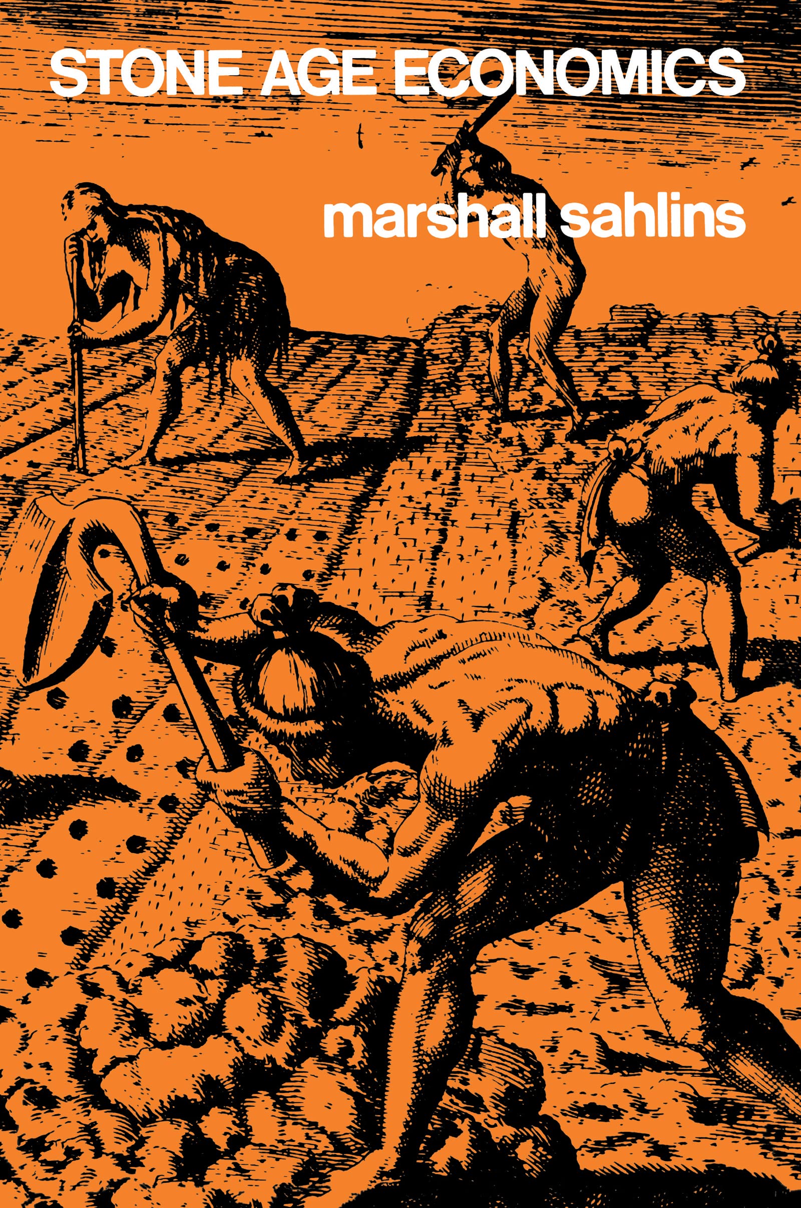 Stone Age Economics,New
