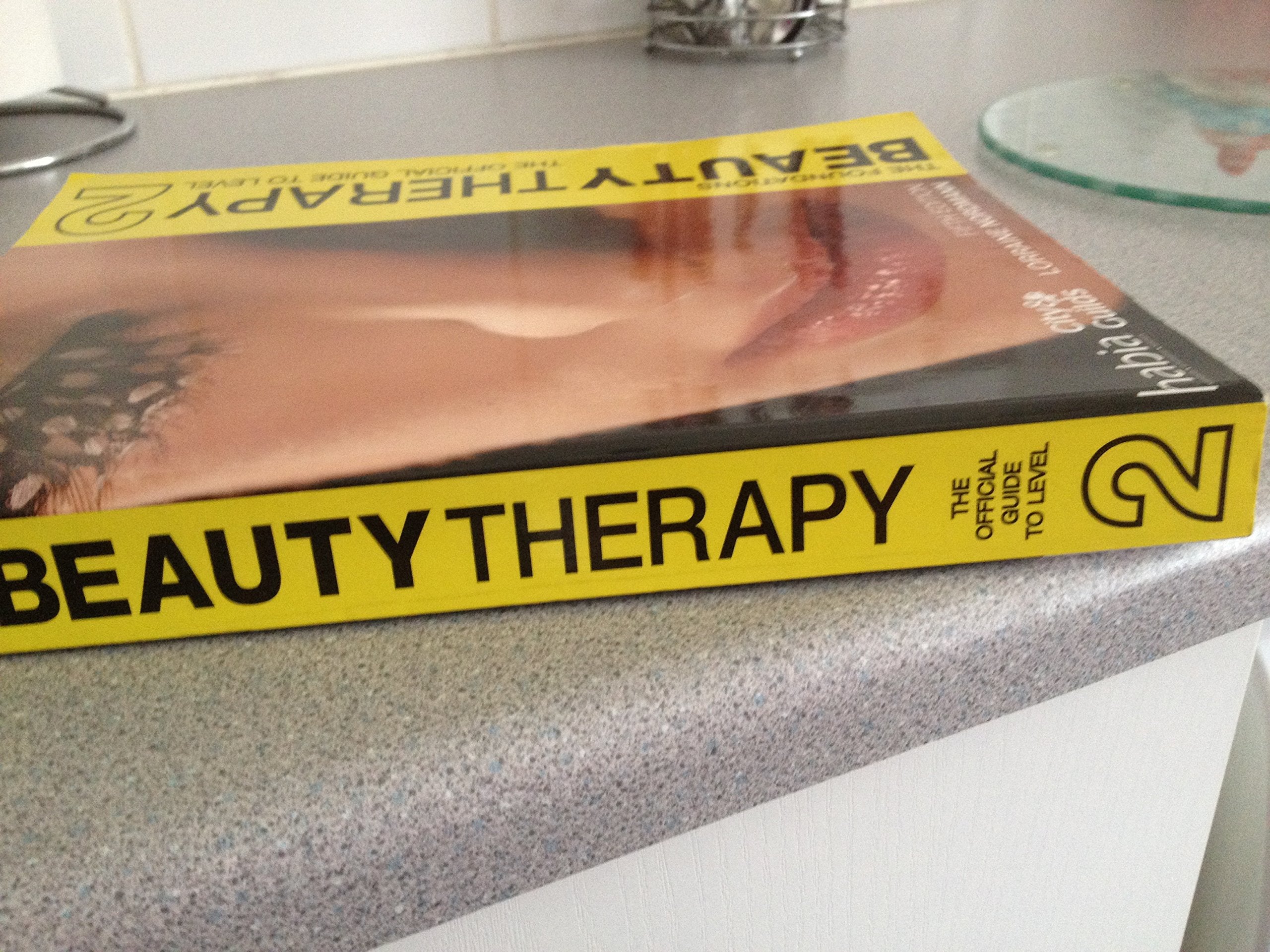 Beauty Therapy: The Foundations Level 2 (Habia Series),Used