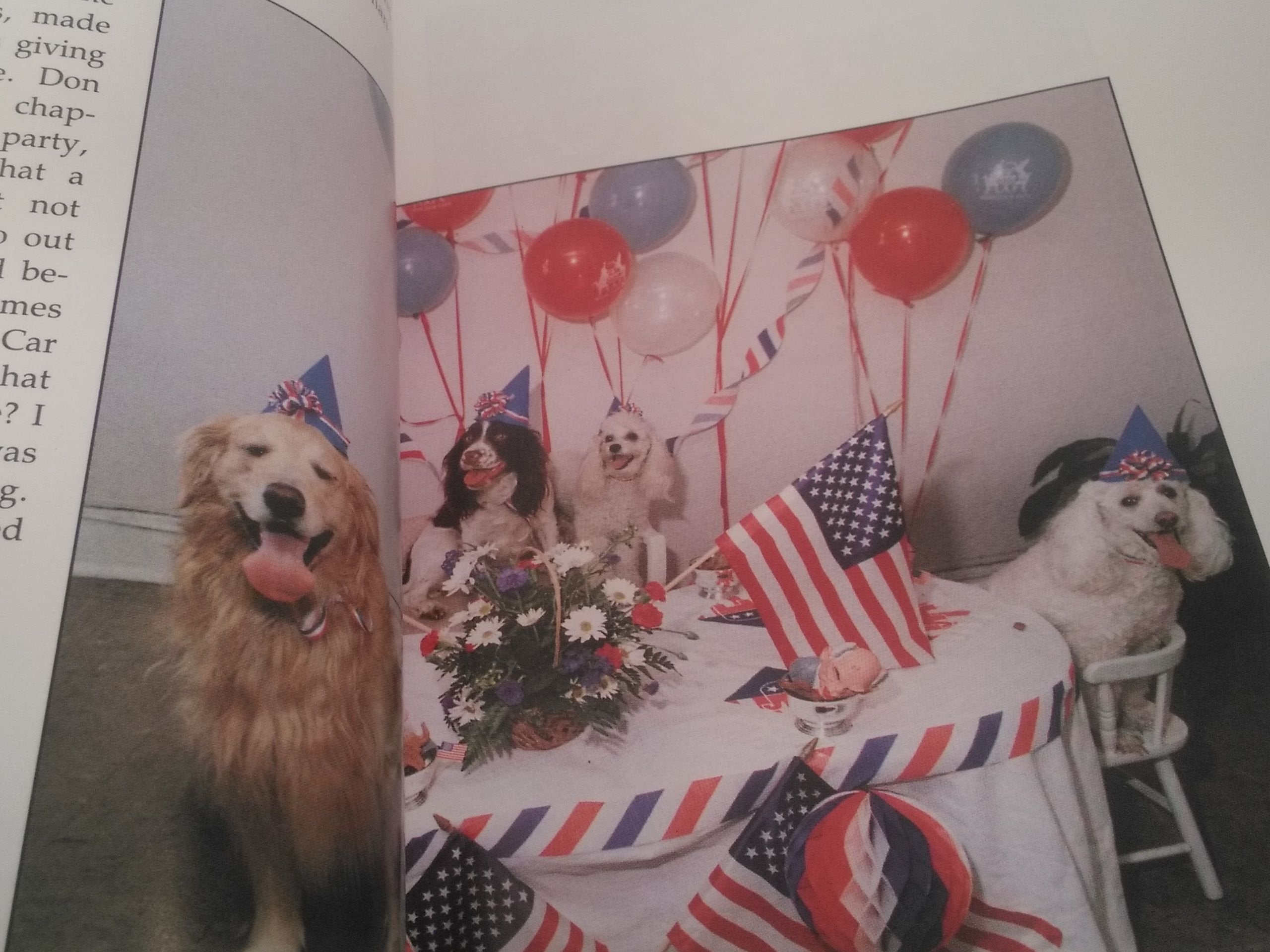 Millie's Book,Used