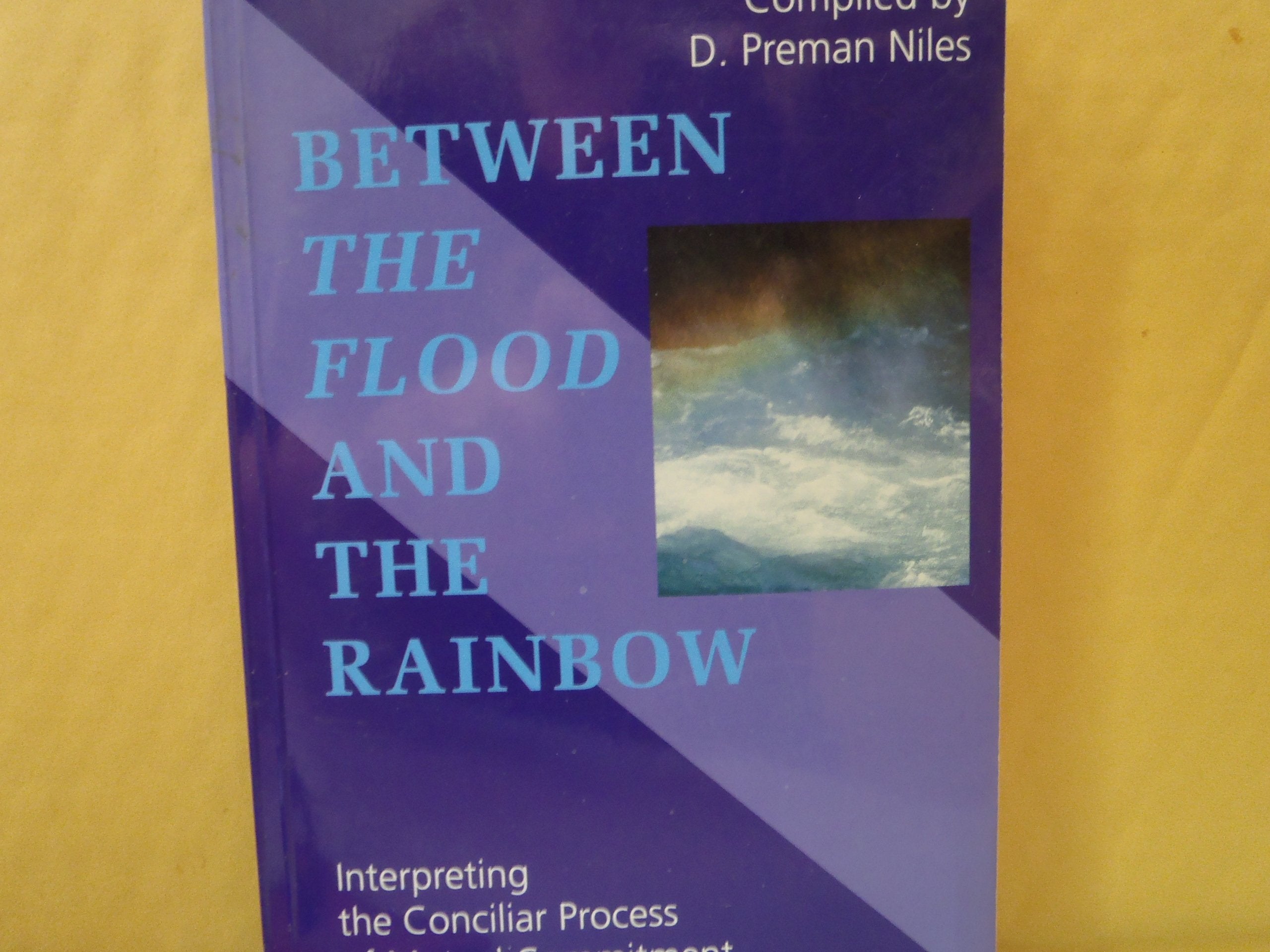 Between the Flood and the Rainbow: Interpreting the Conciliar Process of Mutual Commitment (Covenant) to Justice, Peace and the ,Used