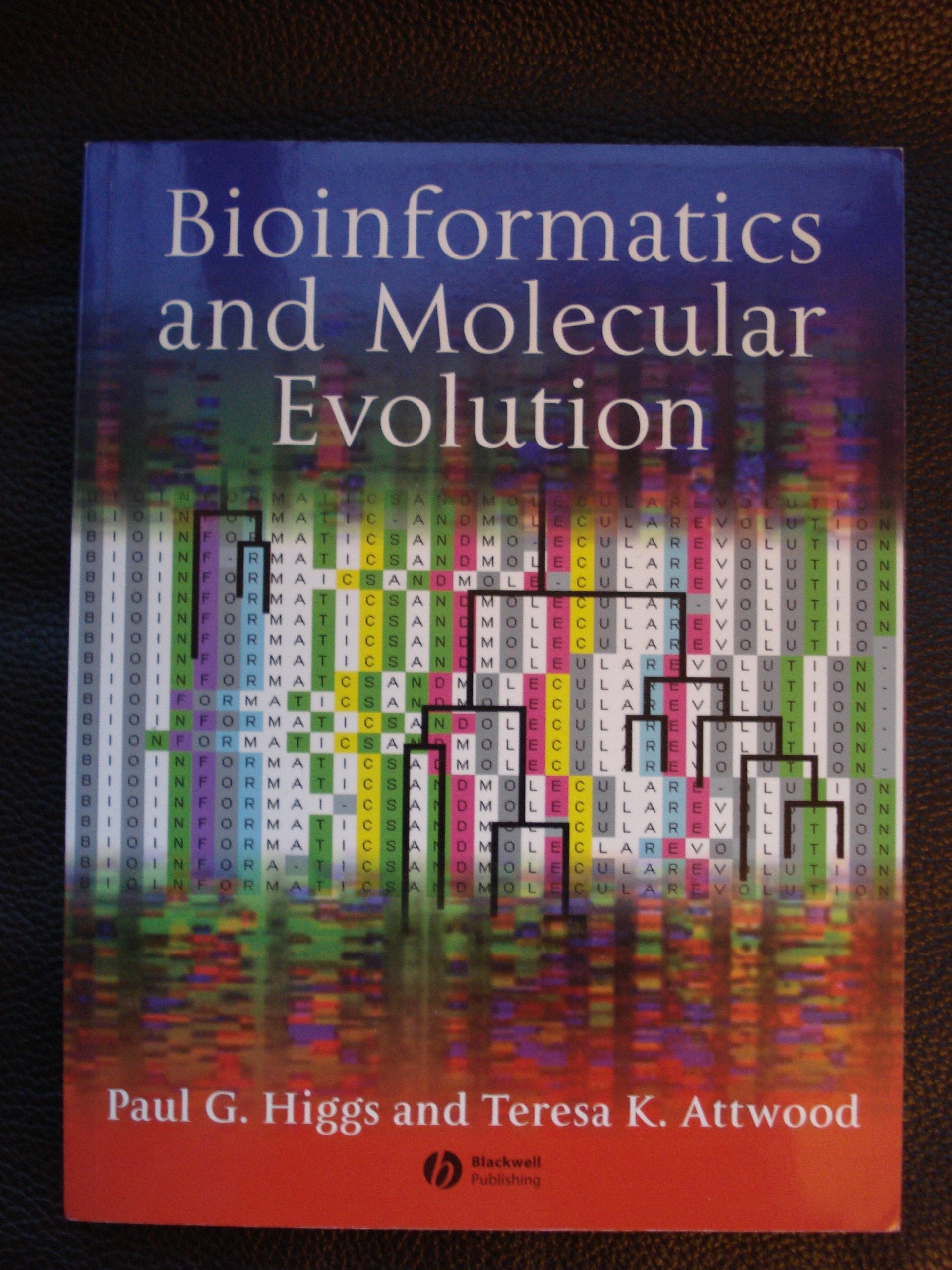 Bioinformatics And Molecular Evolution,Used