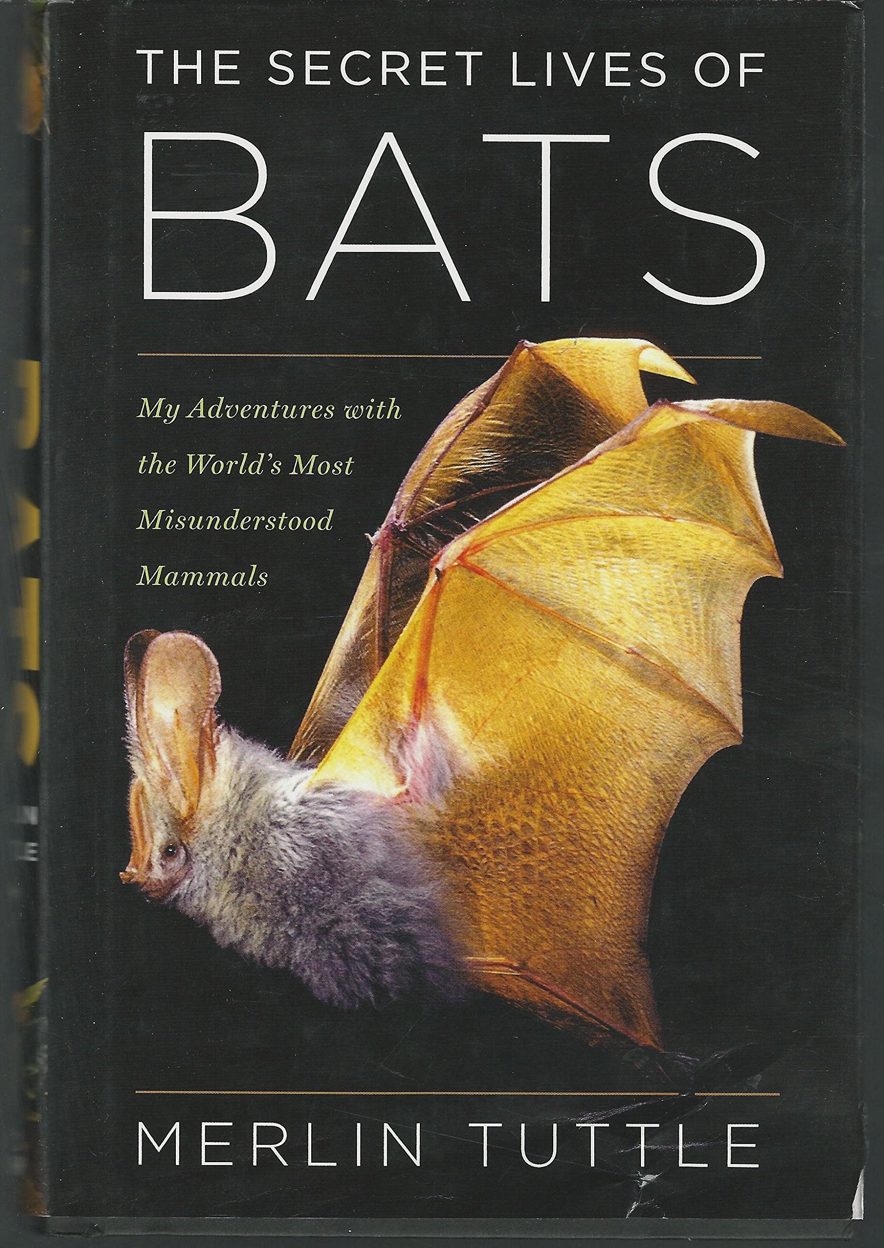 The Secret Lives Of Bats: My Adventures With The World'S Most Misunderstood Mammals