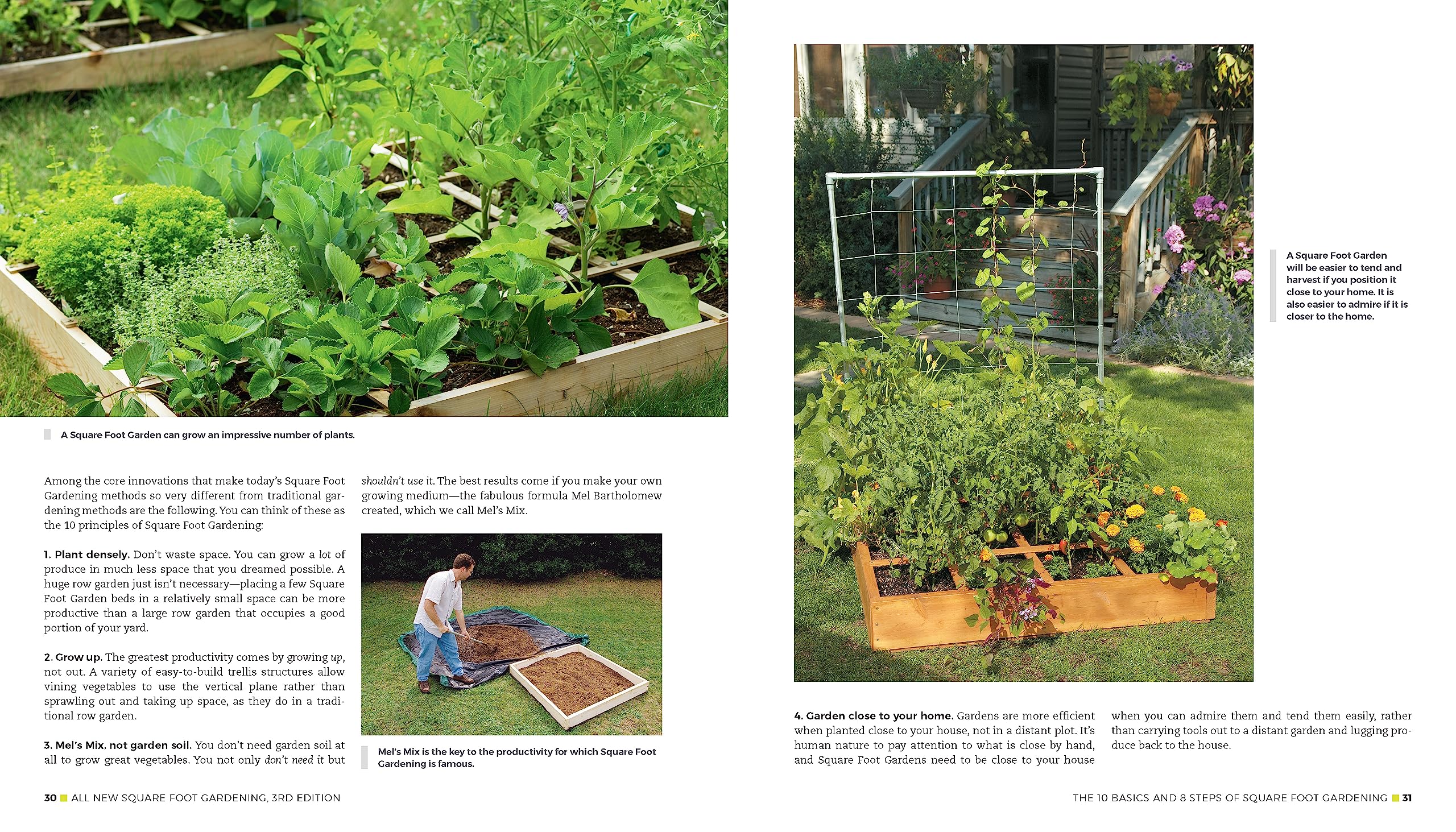 All New Square Foot Gardening, 3Rd Edition, Fully Updated: More Projects  New Solutions  Grow Vegetables Anywhere (Volume 9) (