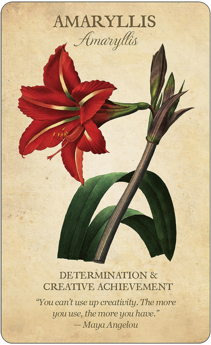 Botanical Inspirations Deck & Book Set,New