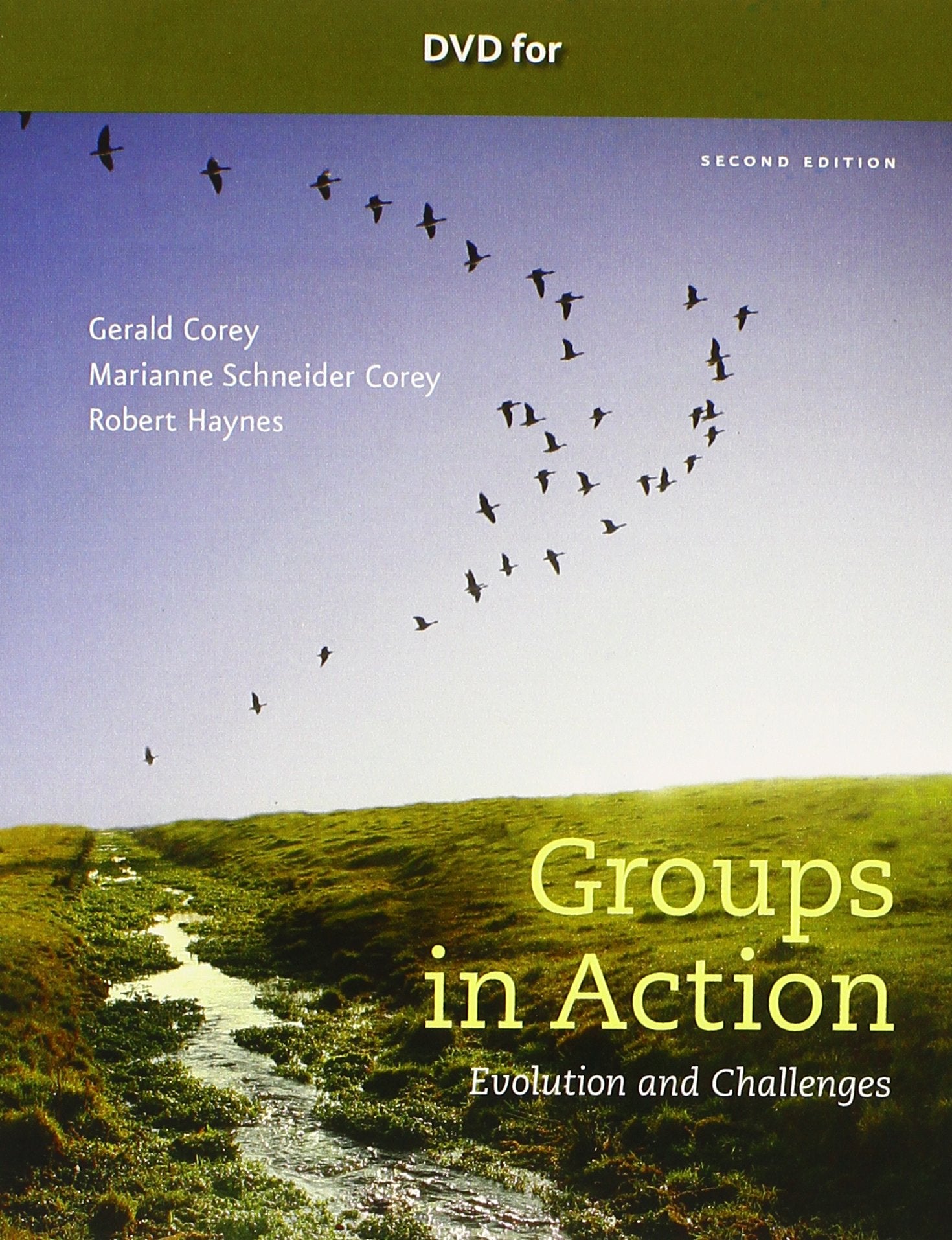 Groups in Action: Evolution and Challenges,New