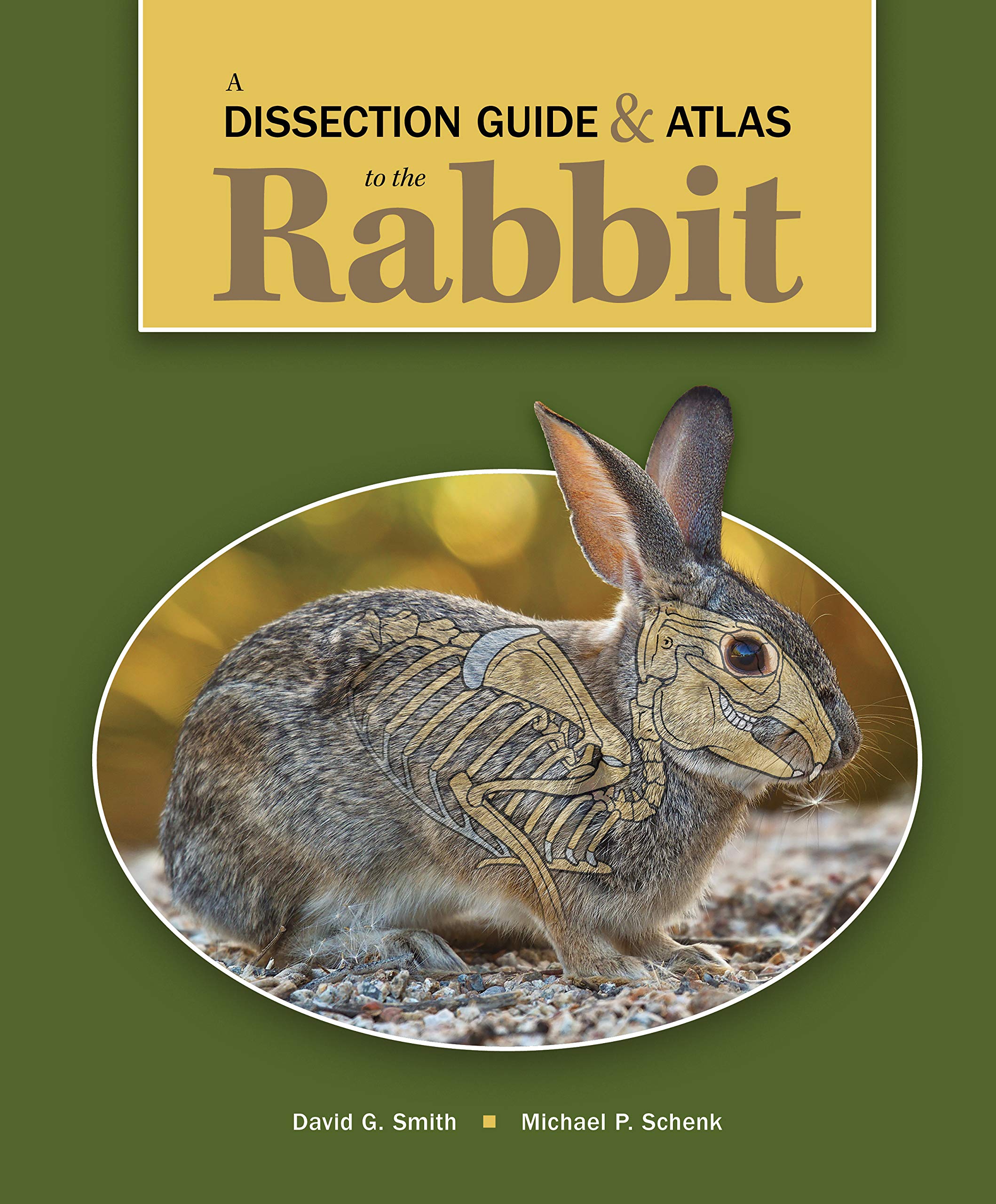 A Dissection Guide & Atlas to the Rabbit,Used
