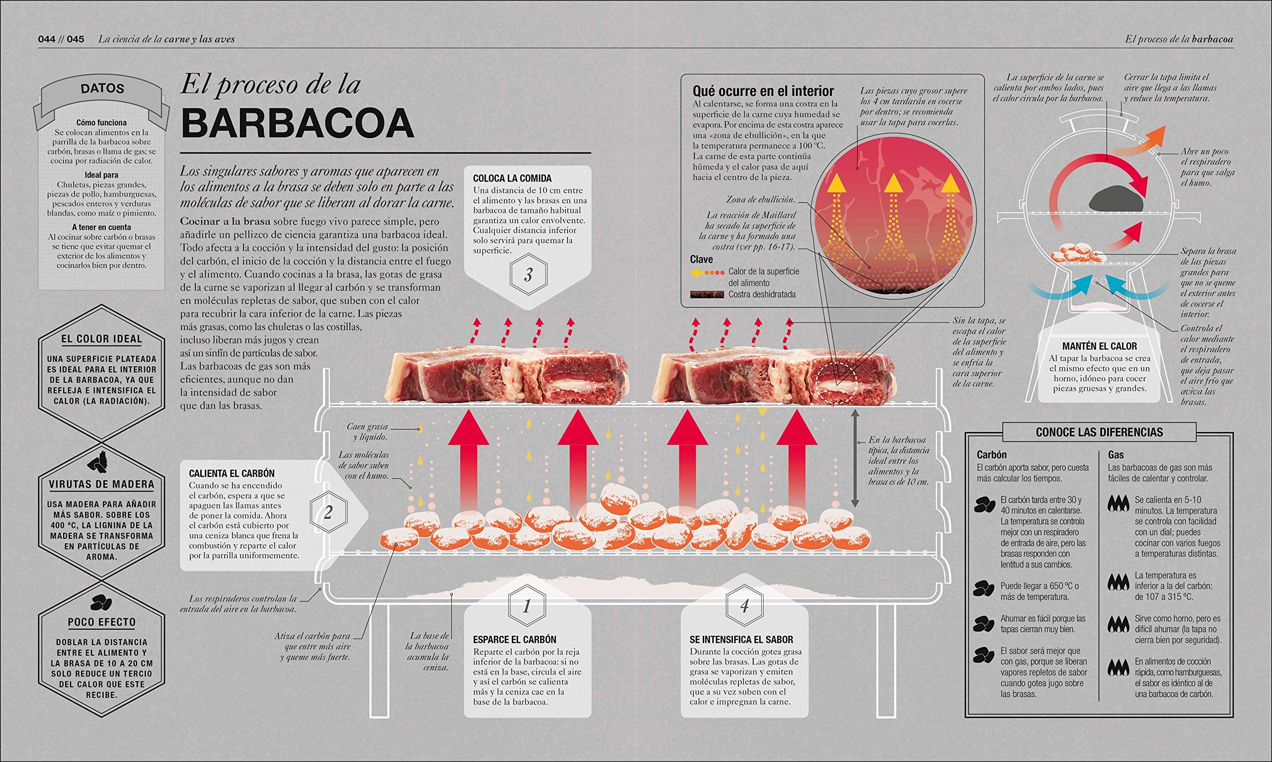 Cocinologa (The Science Of Cooking): La Ciencia De Cocinar (Spanish Edition)