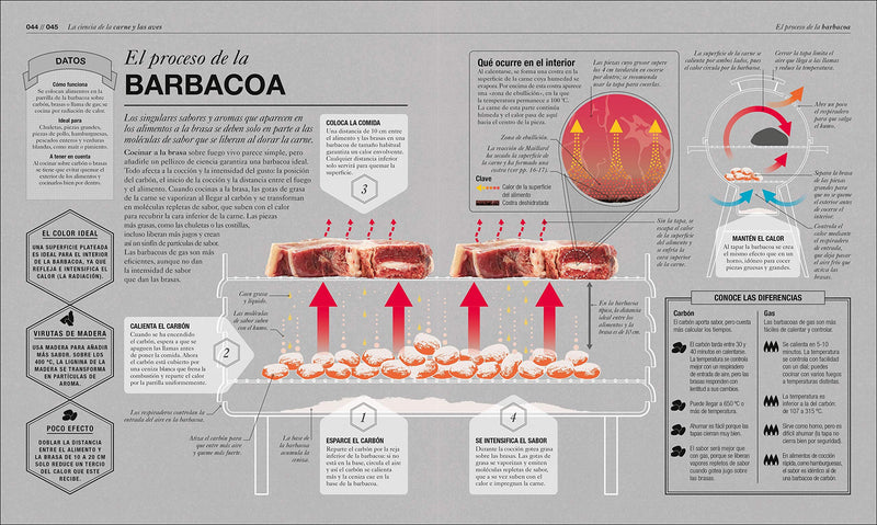 Cocinologa (The Science Of Cooking): La Ciencia De Cocinar (Spanish Edition)