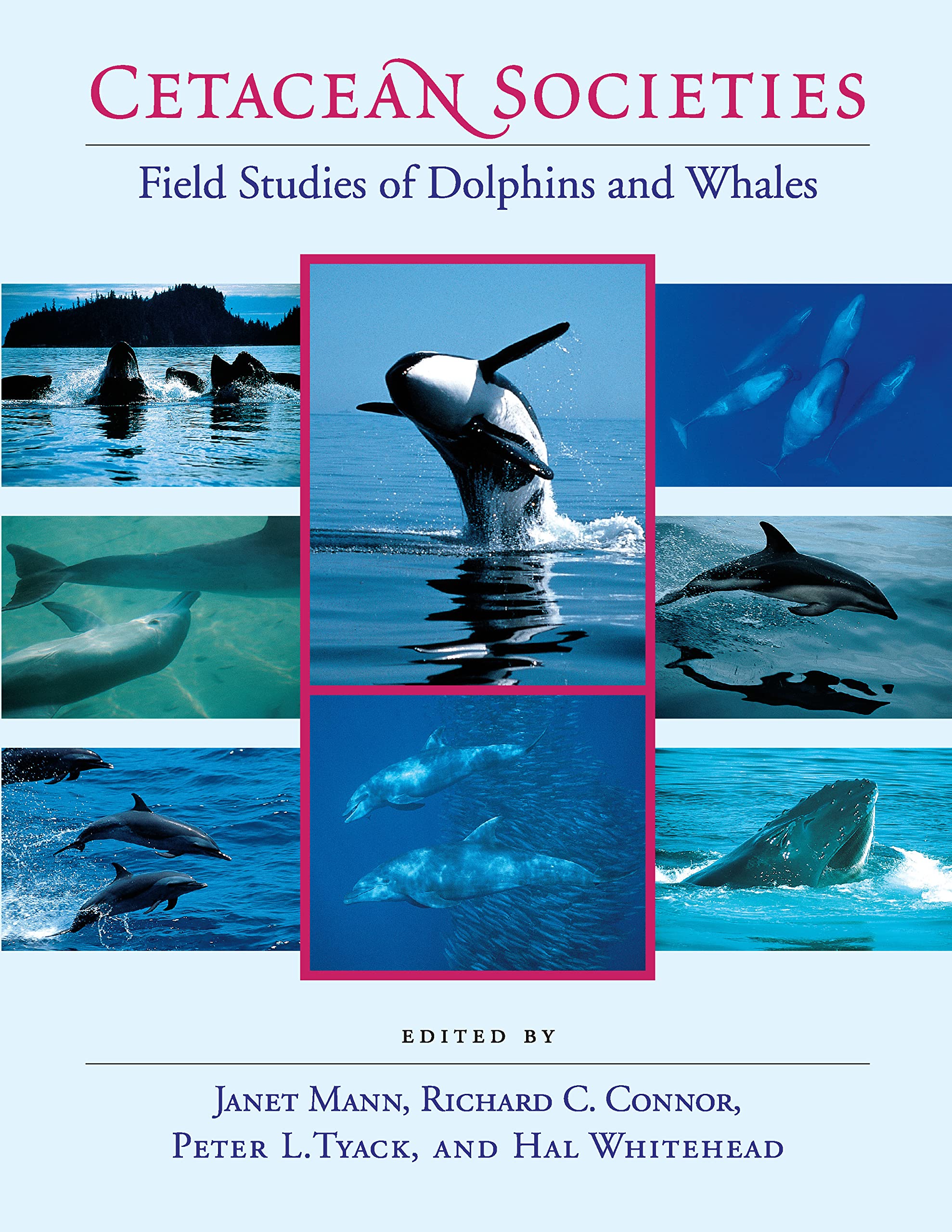 Cetacean Societies: Field Studies of Dolphins and Whales,Used