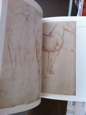 Amazing Rare Things /anglais,Used