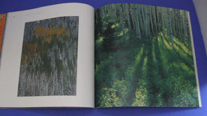 Women in Wilderness: Writings and Photographs (The Wilderness Experience),Used