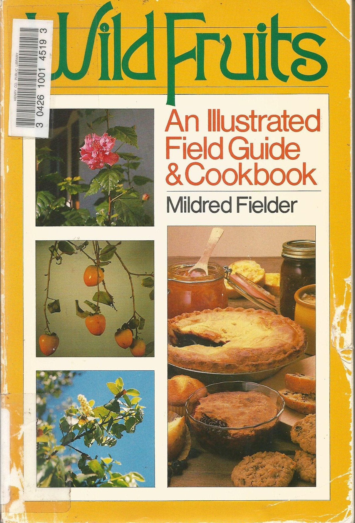 Wild fruits: An illustrated field guide & cookbook,Used