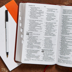 CSB Large Print Personal Size Reference Bible, Brown LeatherTouch, Indexed, Red Letter, Presentation Page, CrossReferences, Ful,Used