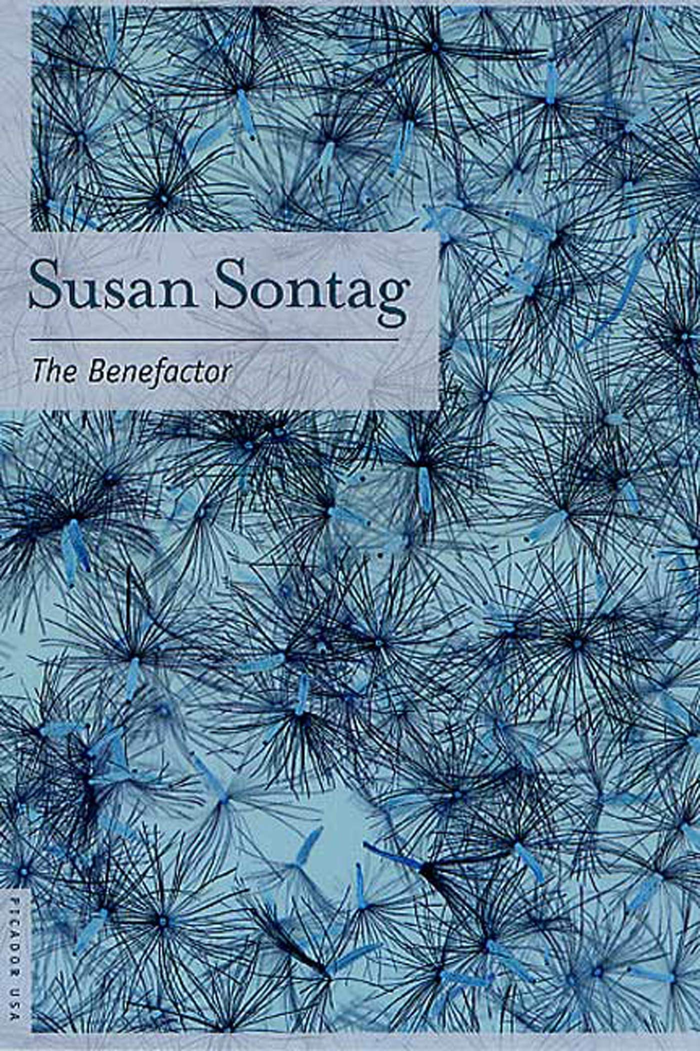 The Benefactor: A Novel,Used