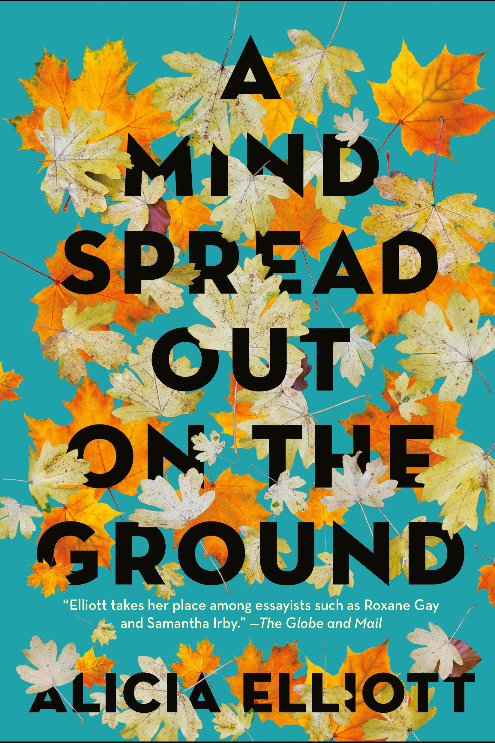 A Mind Spread Out on the Ground,Used