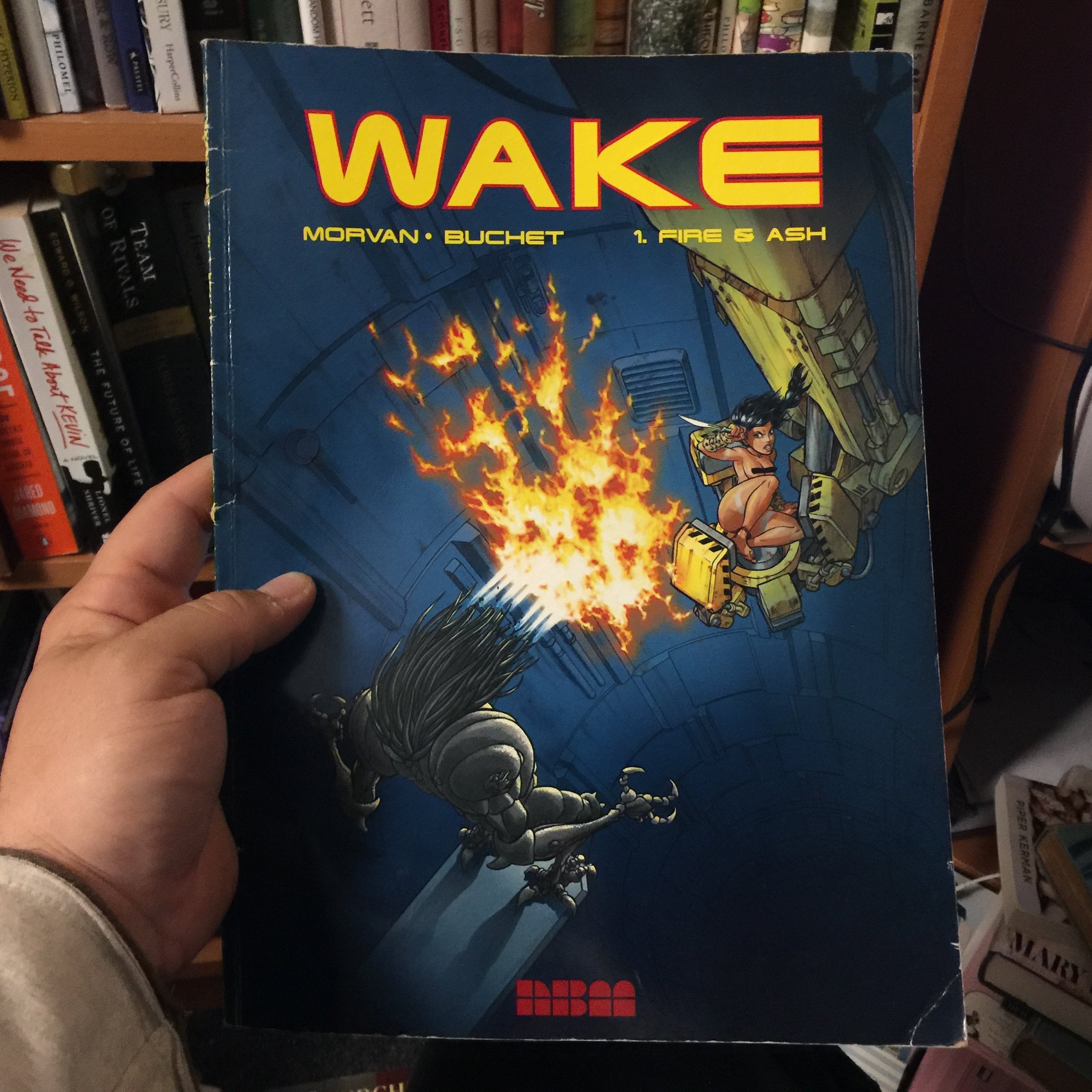 Wake: Fire & Ash (1),Used