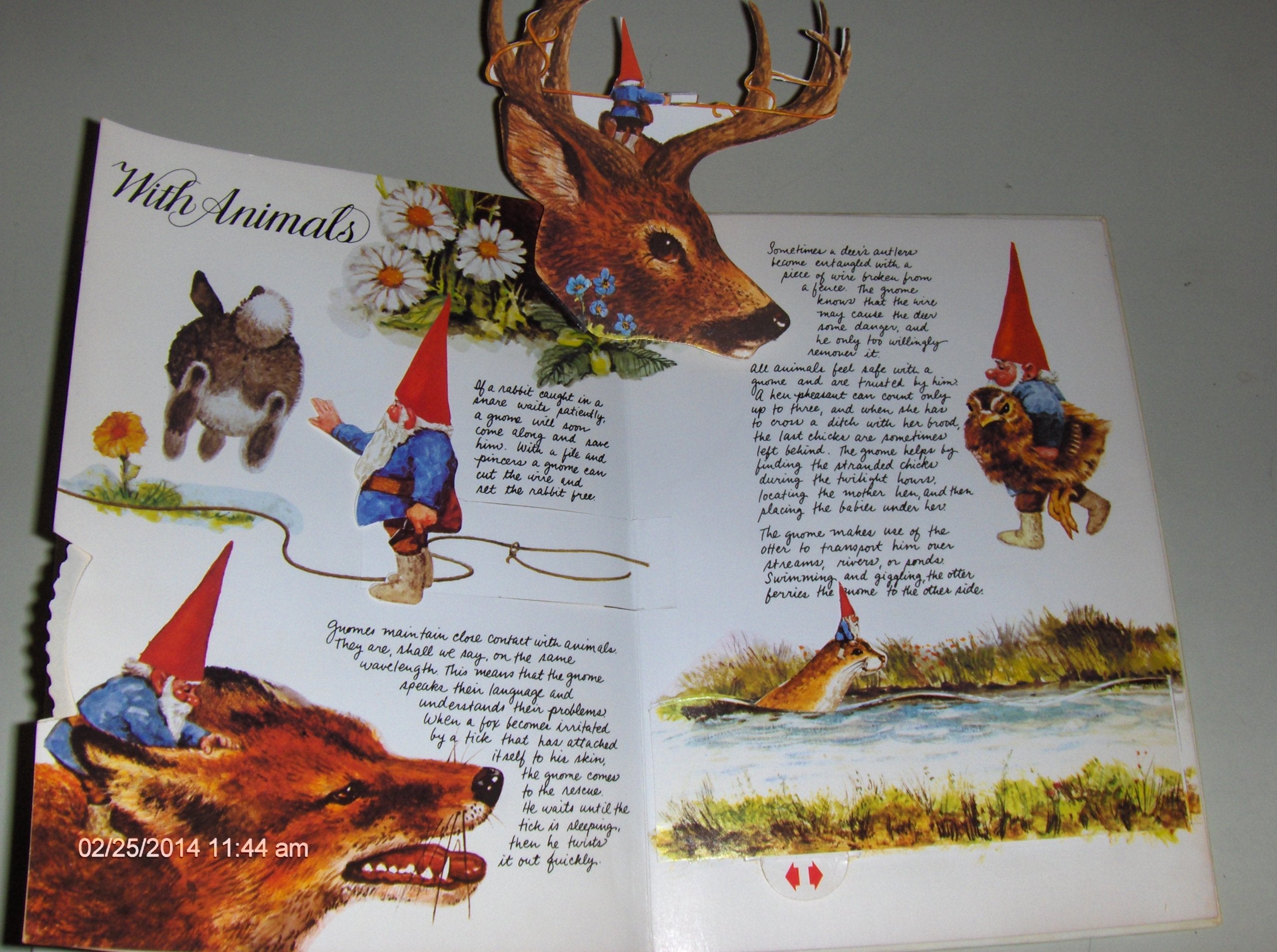 The Popup Book Of Gnomes
