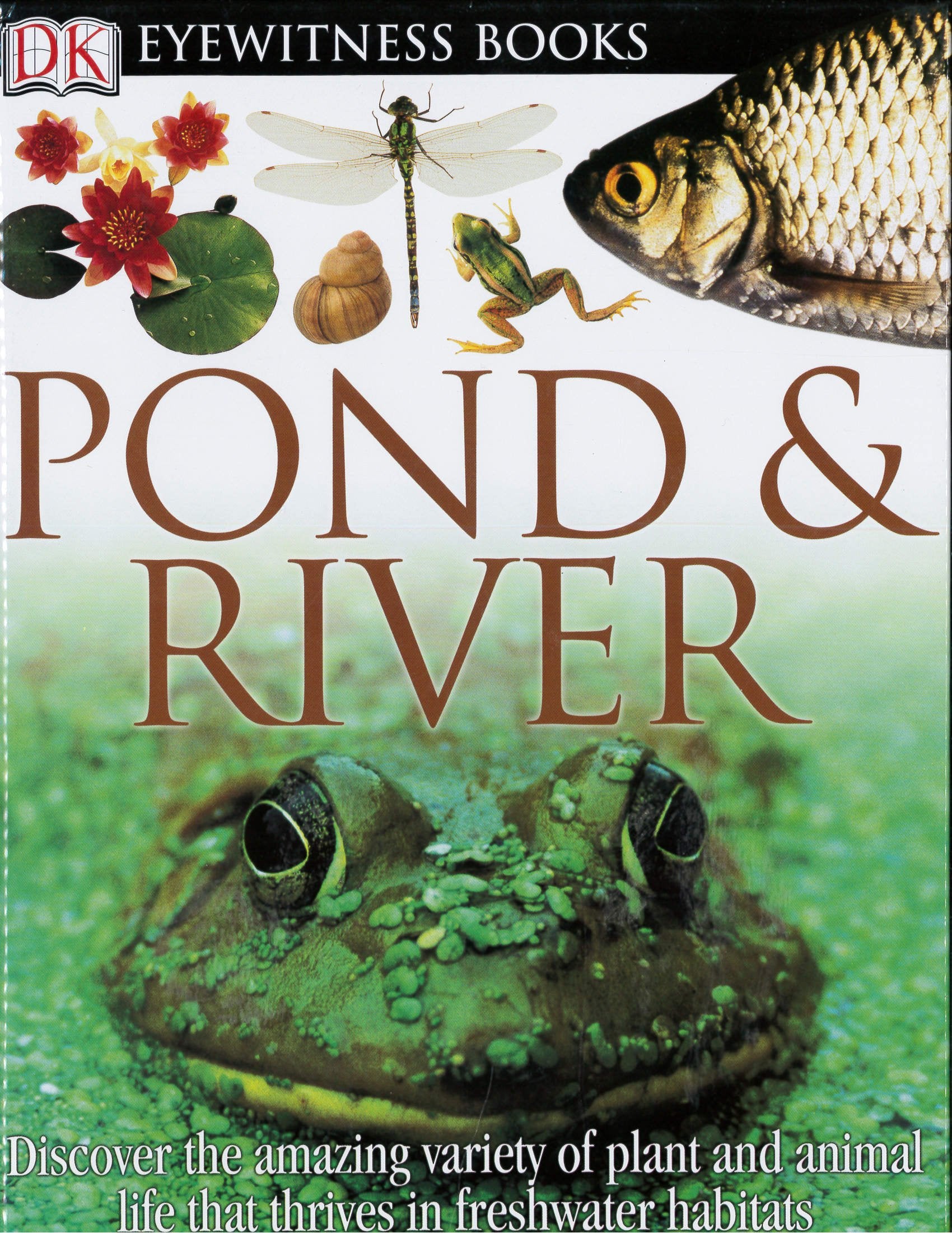 Pond & River (DK Eyewitness Books),Used