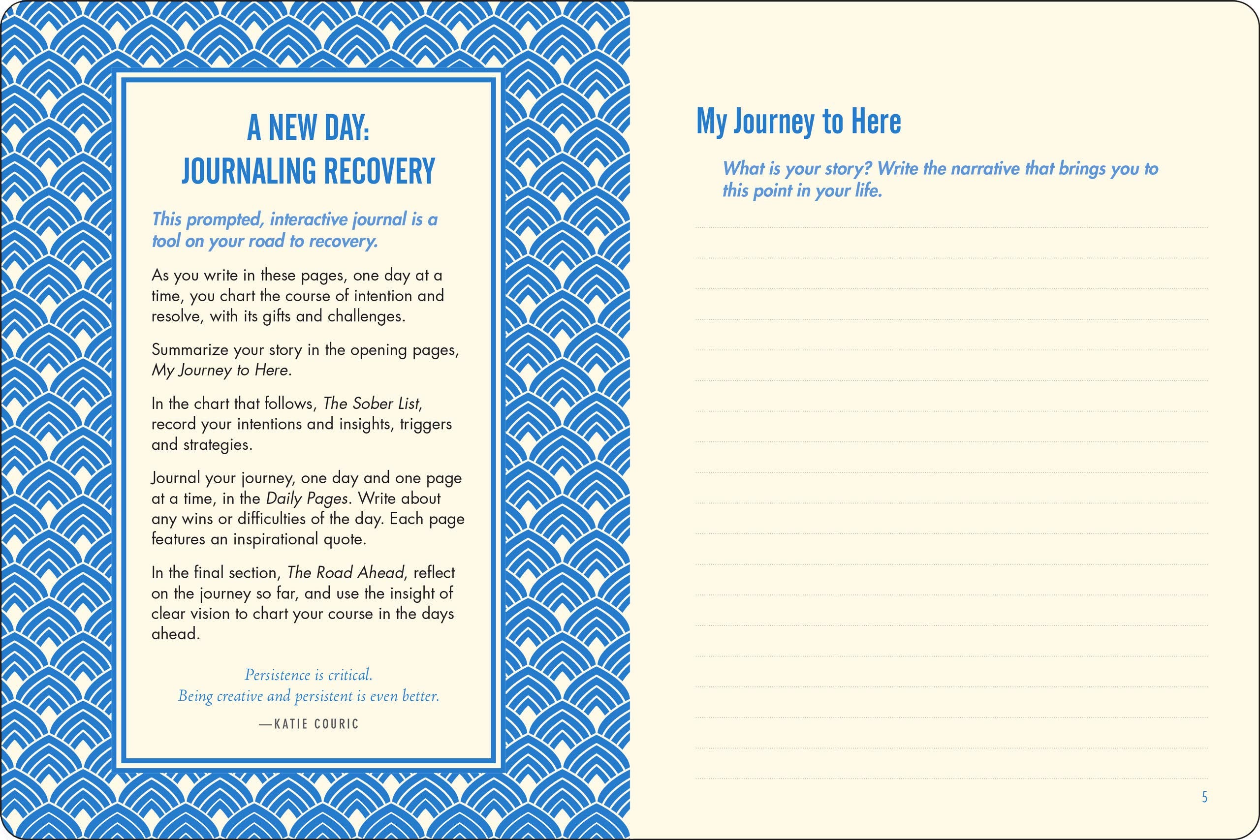 Sober Journal (with removable cover band),Used