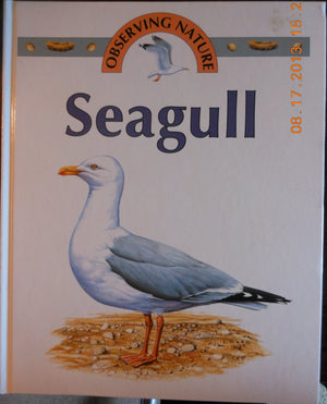 Seagull (Observing Nature),Used