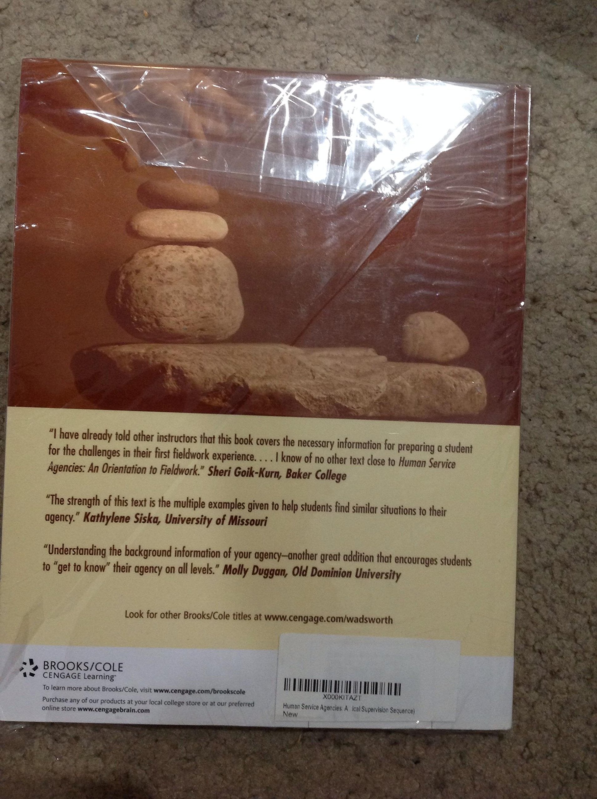 Human Service Agencies: An Orientation to Fieldwork (HSE 160 / 260 / 270 Clinical Supervision Sequence),Used