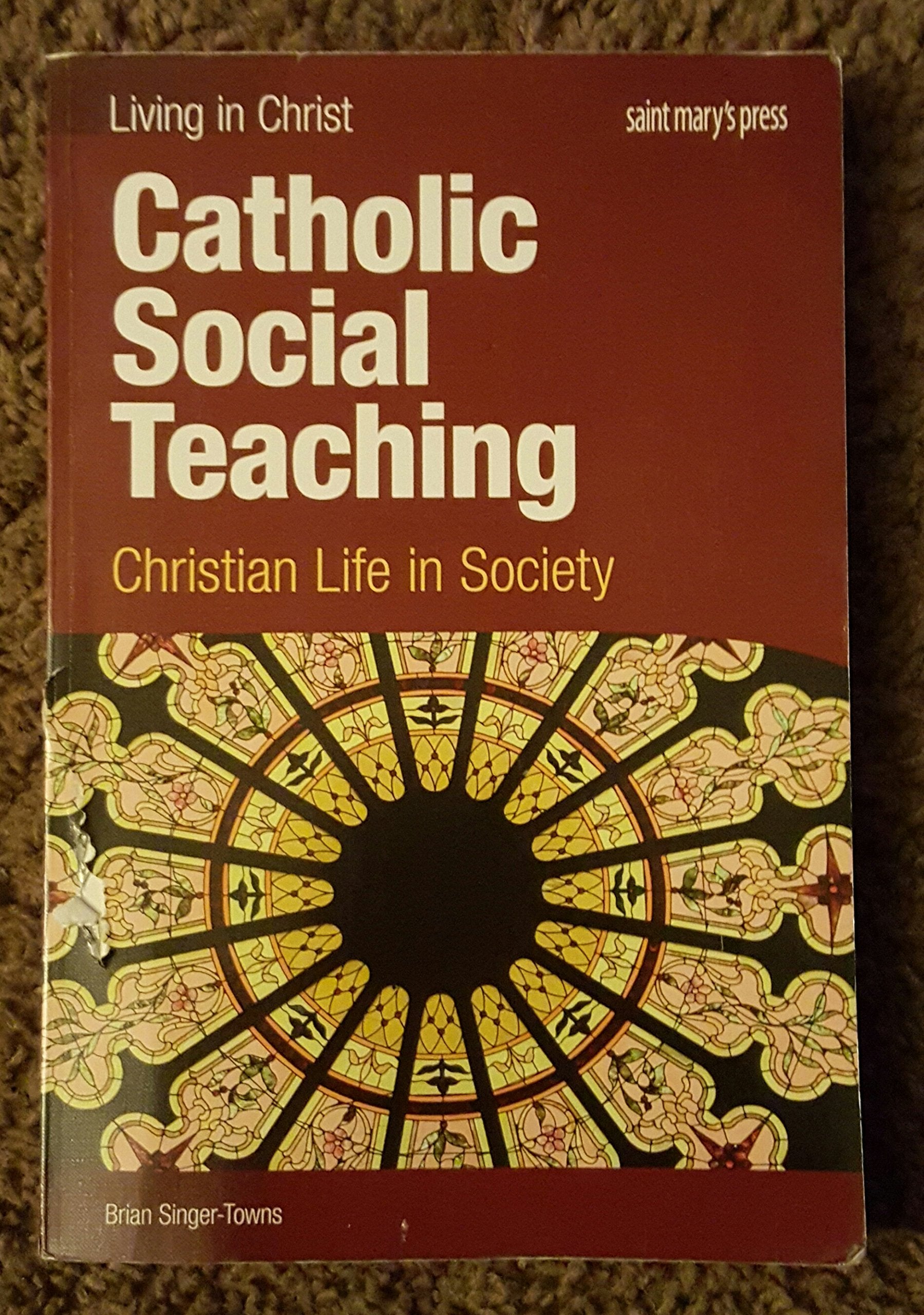 Catholic Social Teaching, student book: Christian Life in Society,New