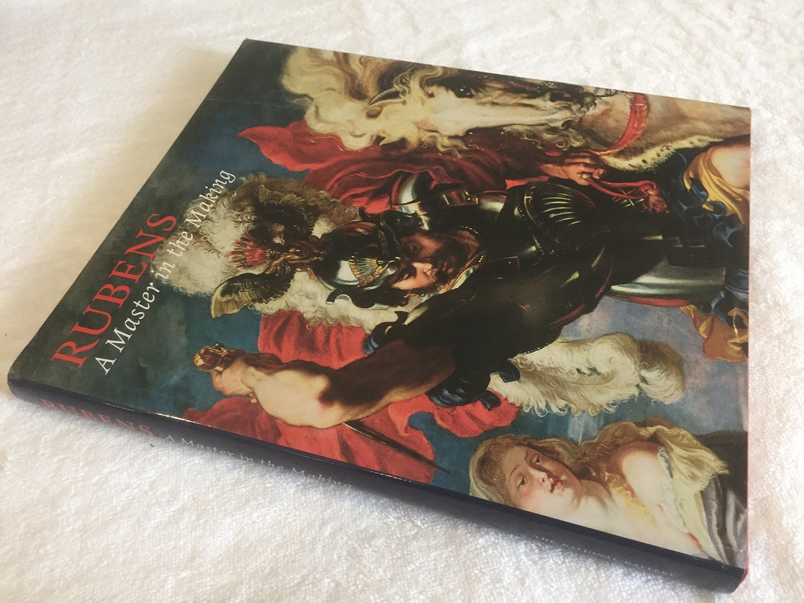 Rubens: A Master in the Making (National Gallery London Publications),Used
