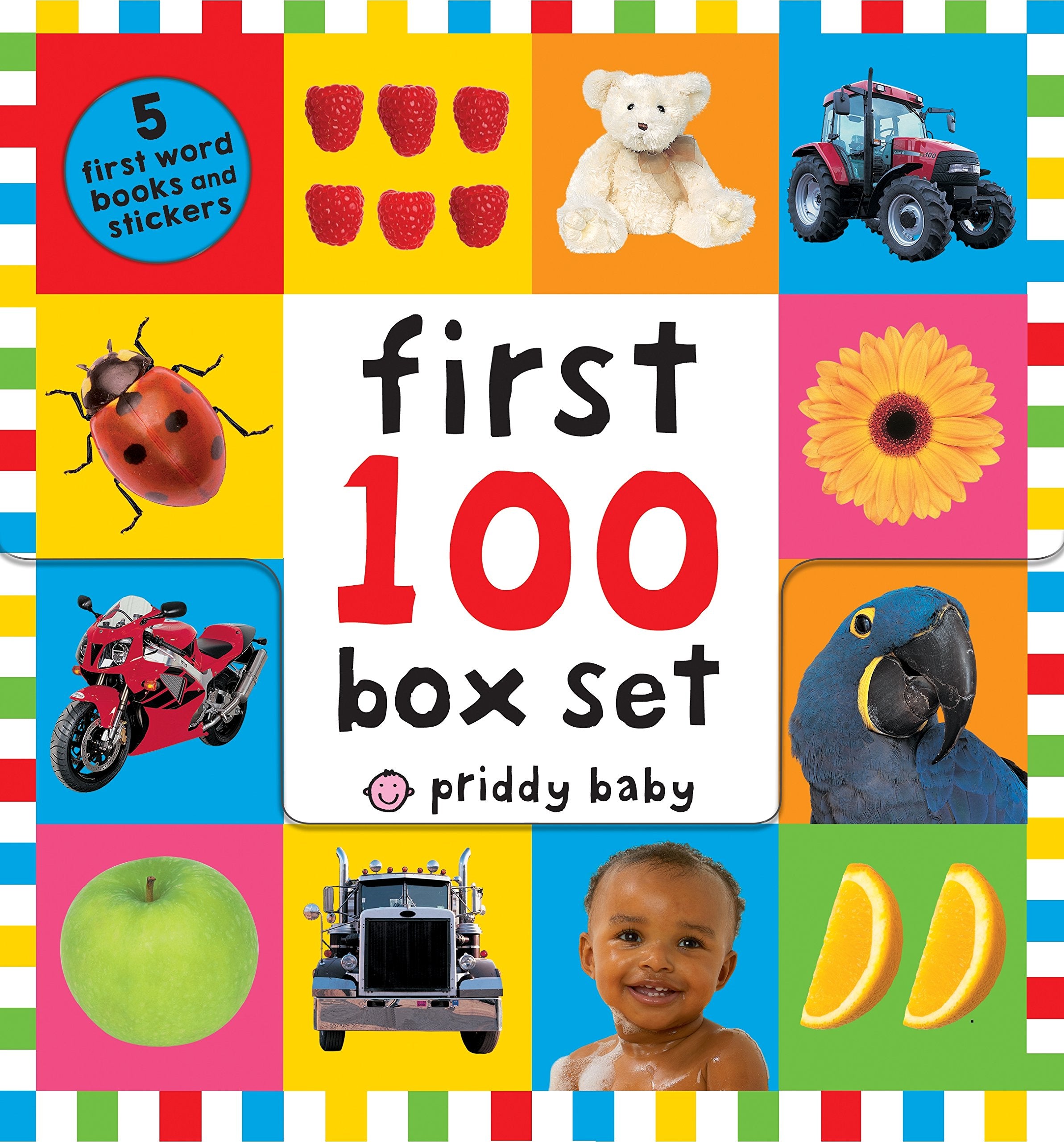 First 100 PB Box Set (5 books): First 100 Words; First 100 Animals; First 100 Trucks and Things That Go; First 100 Numbers; Firs,New