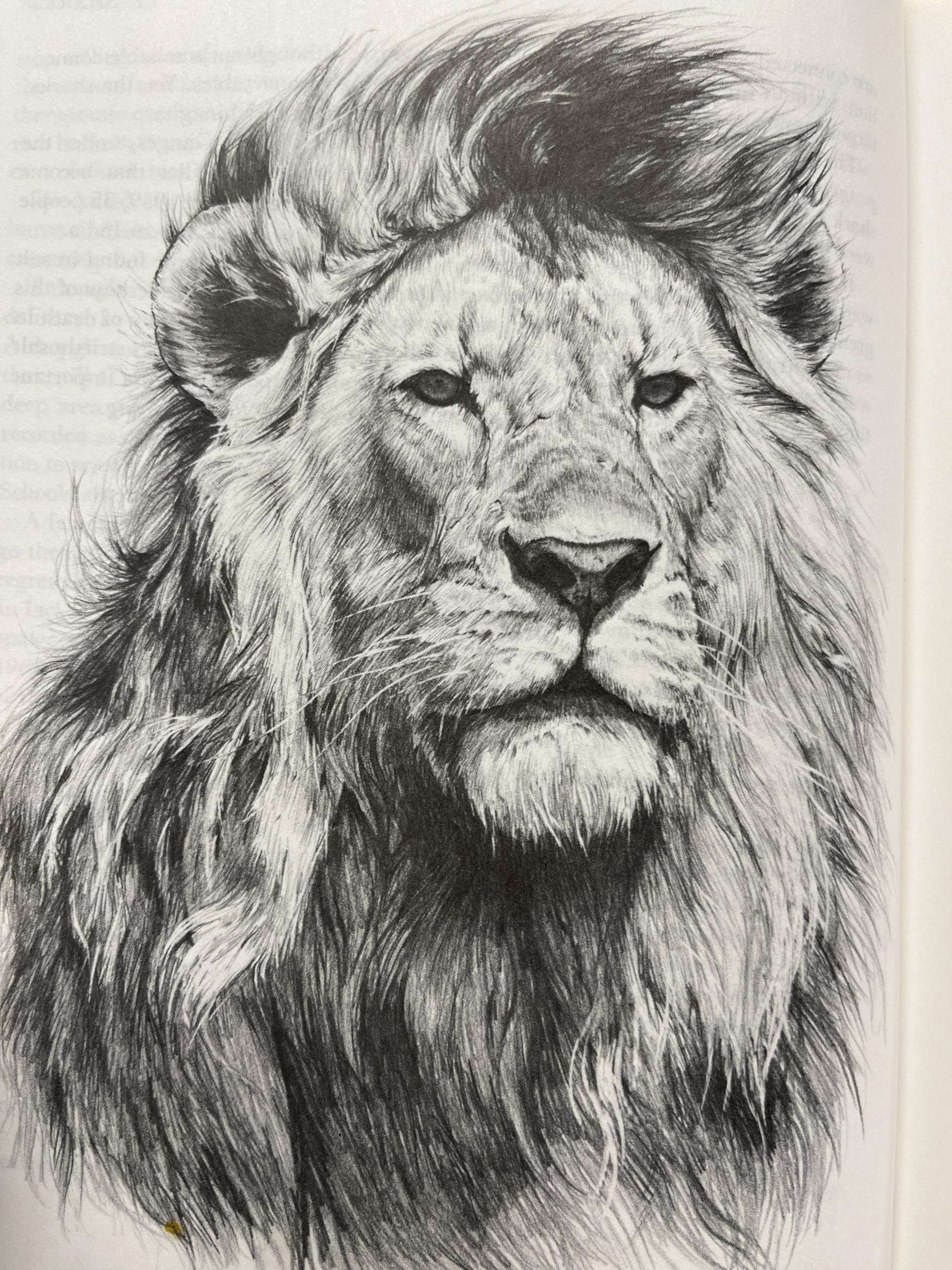 Maneaters
