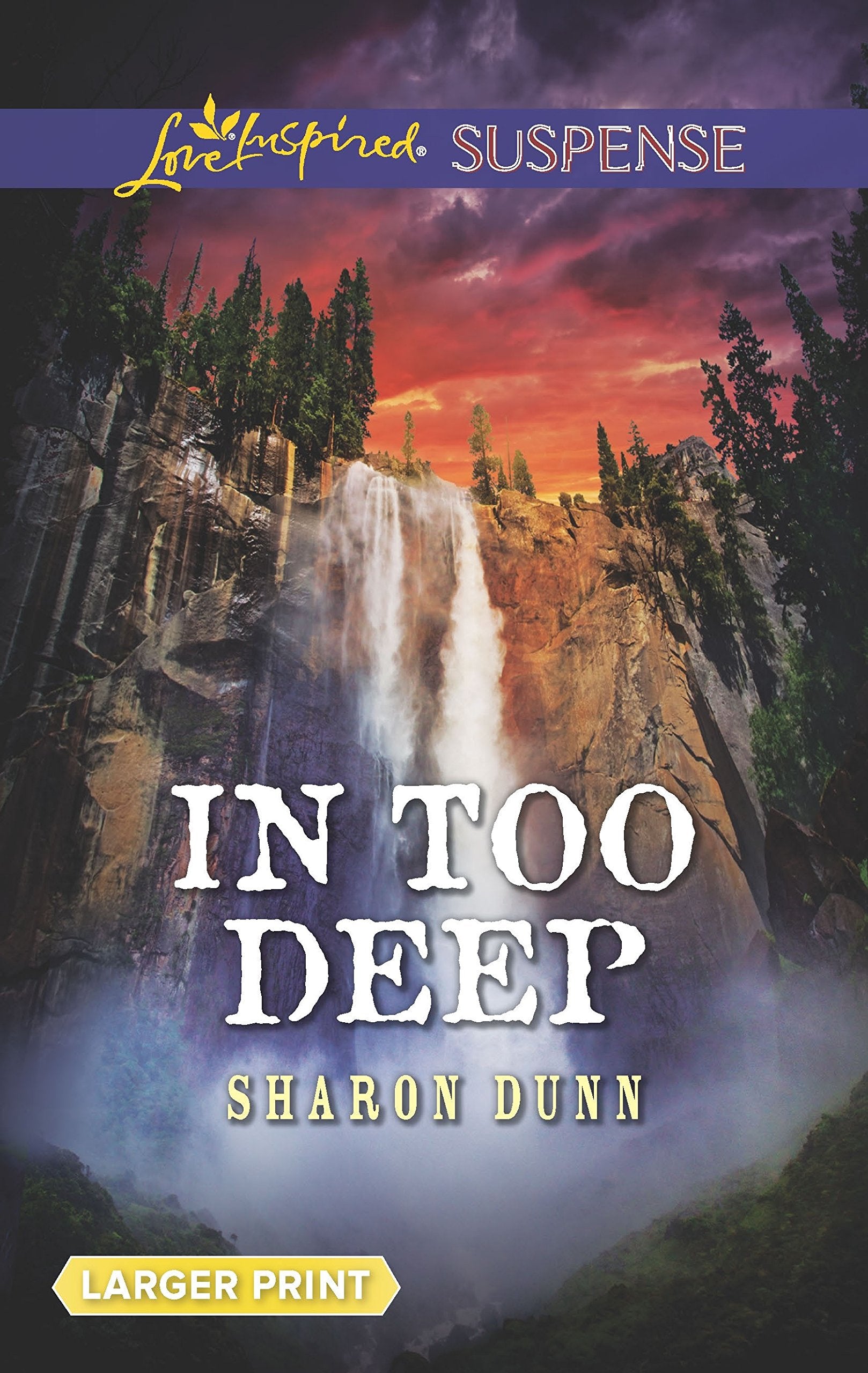 In Too Deep (Love Inspired Suspense),Used