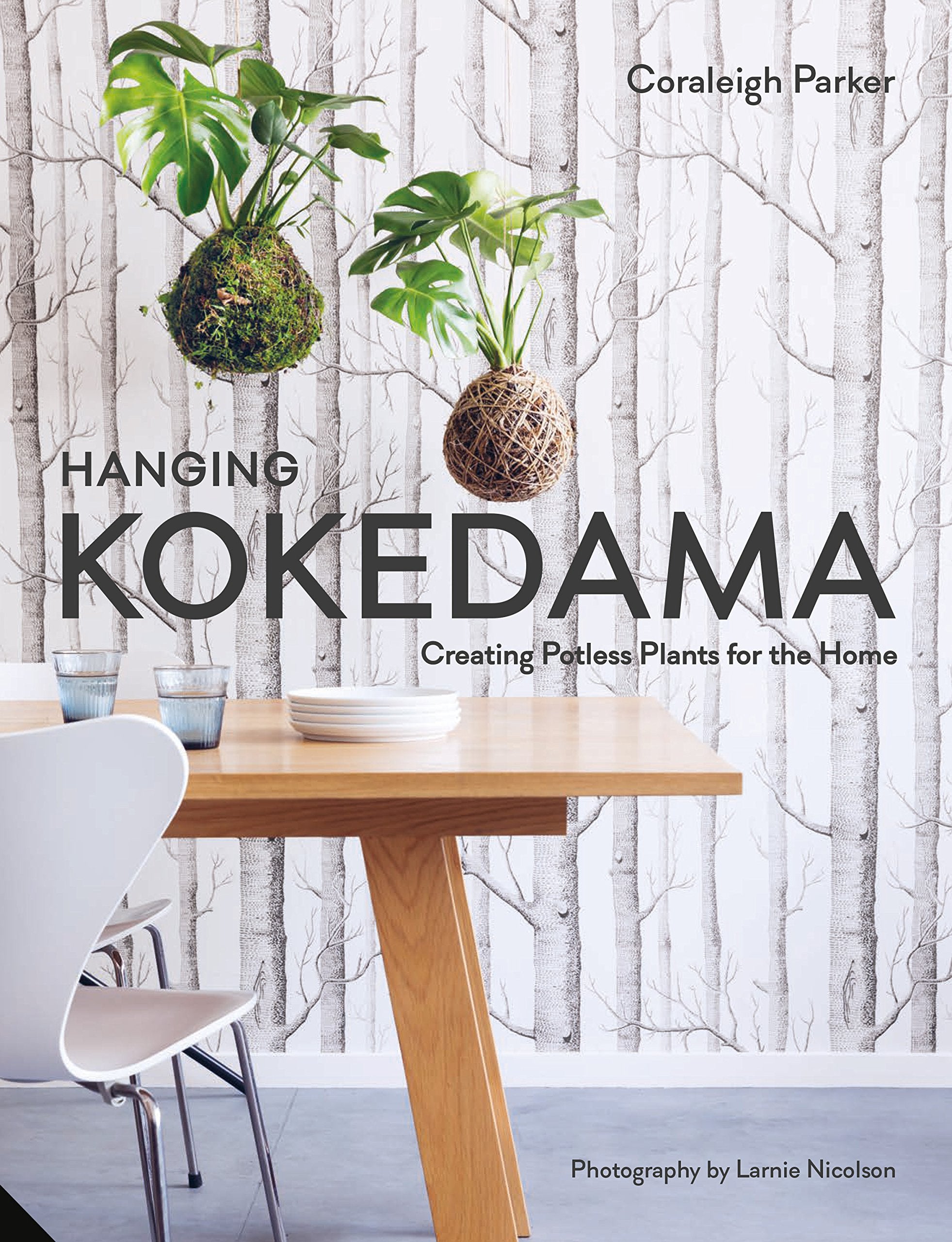 Hanging Kokedama: Creating Potless Plants For The Home