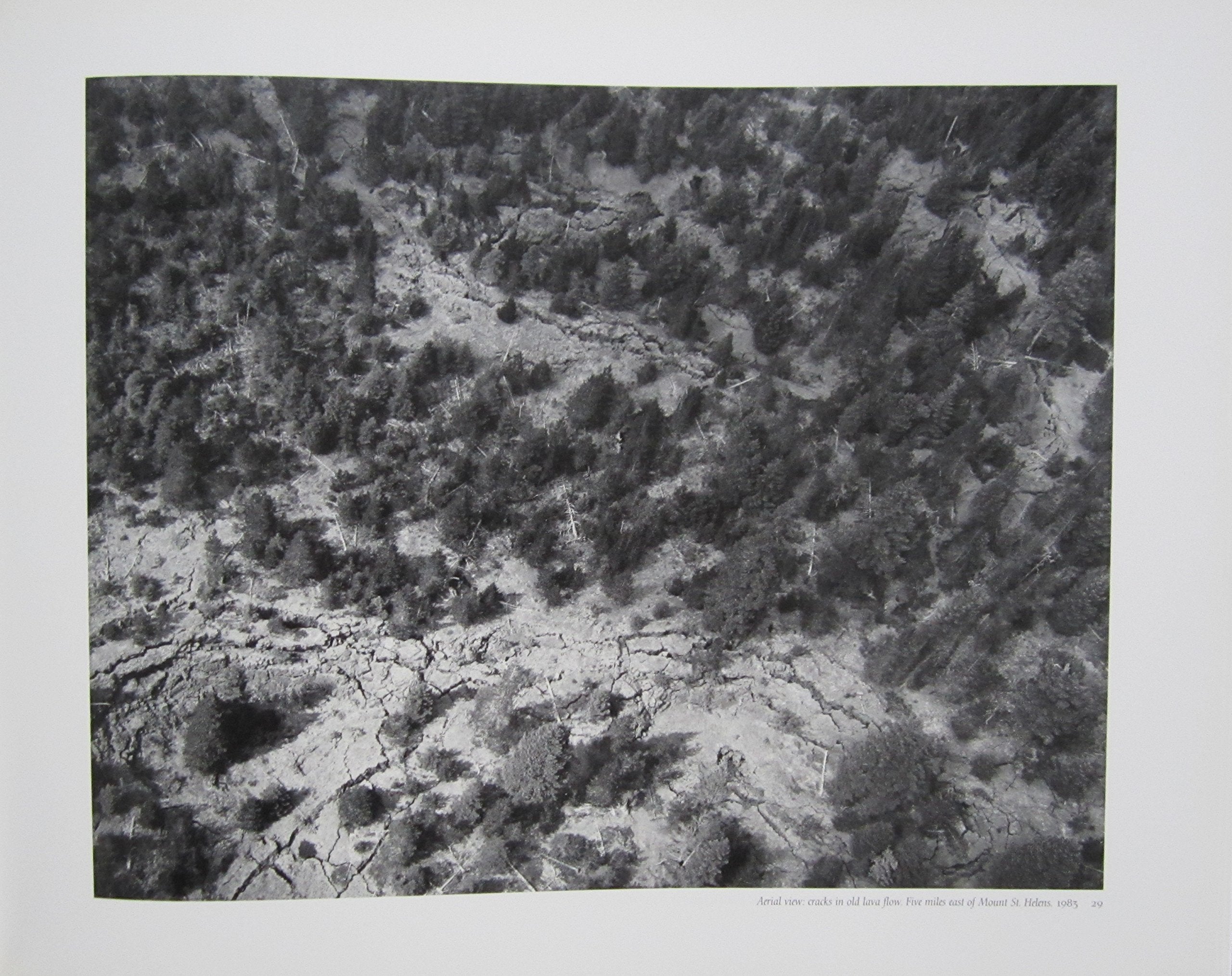 Frank Gohlke: Mount St. Helens,New
