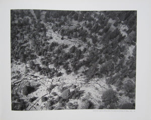 Frank Gohlke: Mount St. Helens,New