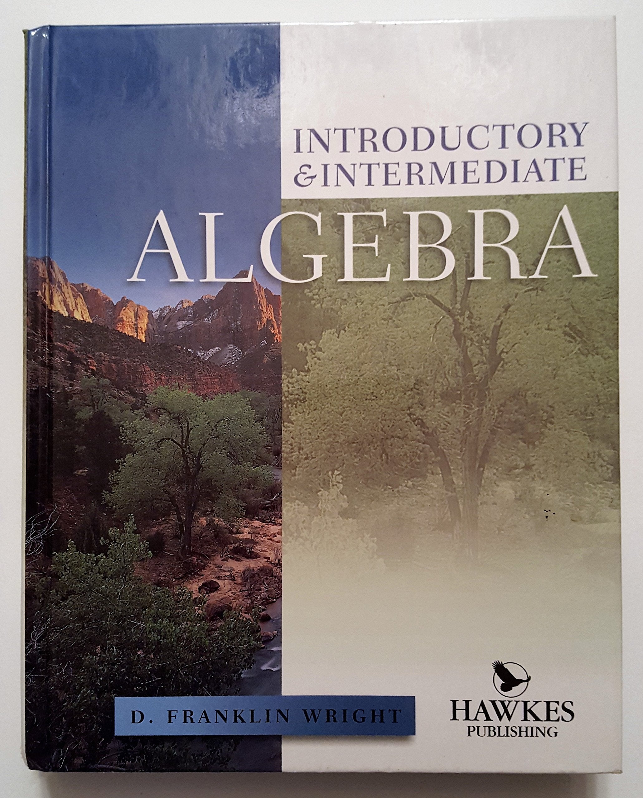 Introductory & Intermediate Algebra,New