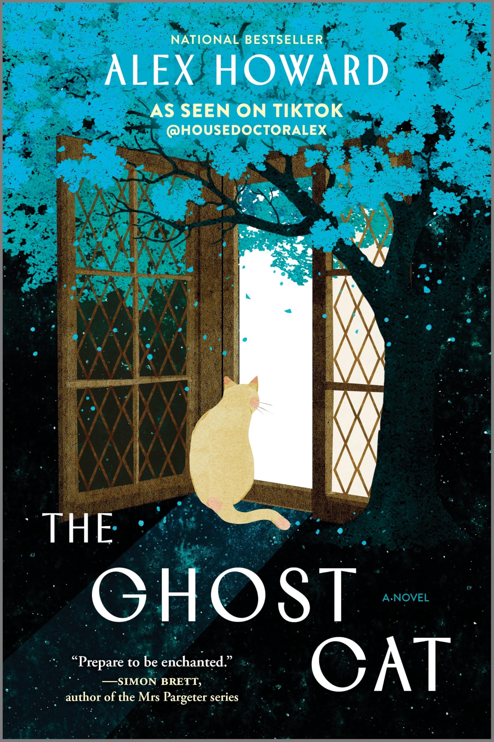 The Ghost Cat: A Novel  A MultiGenerational Literary Fiction History Of Love And Loss