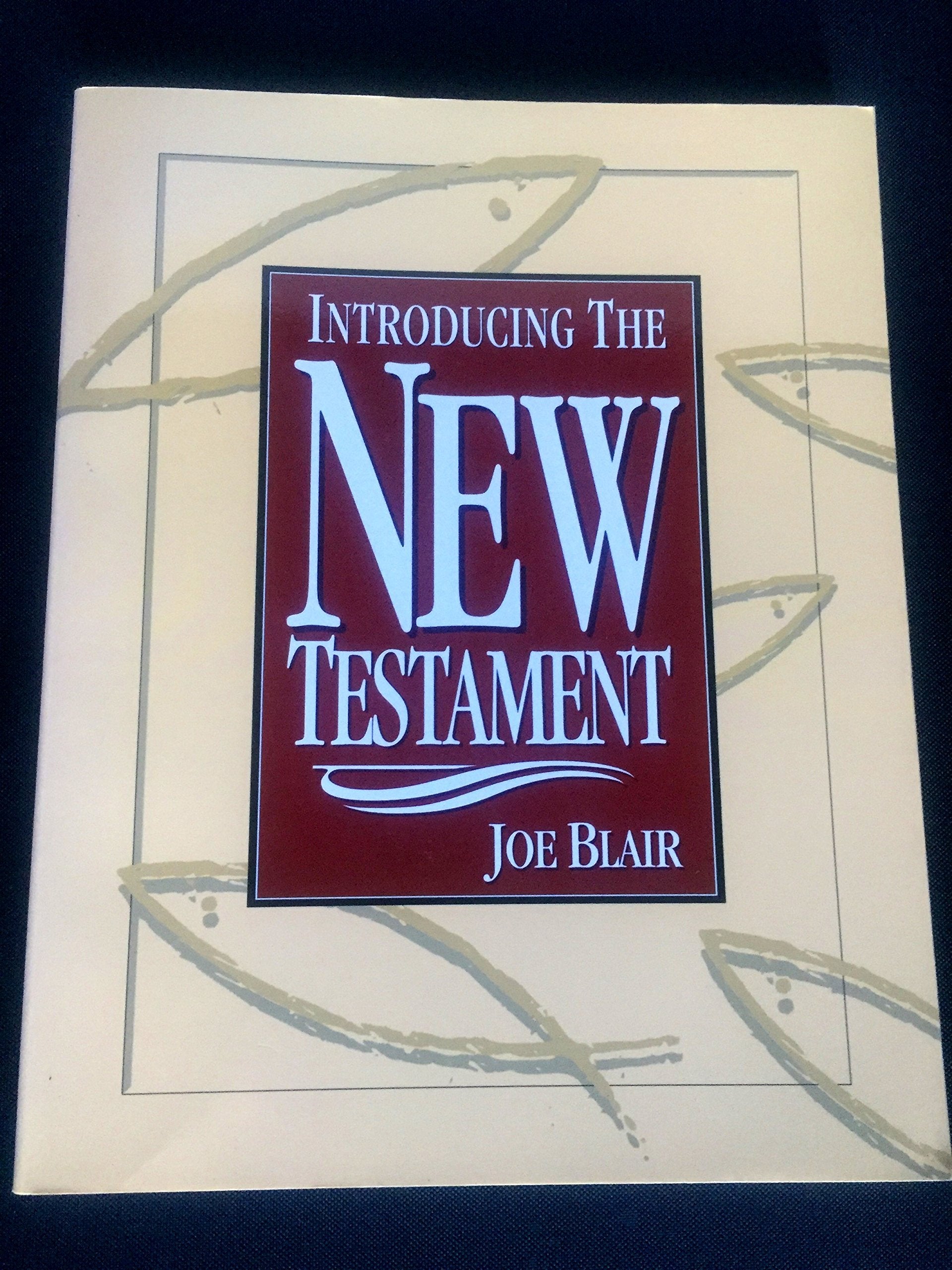 Introducing the New Testament,Used