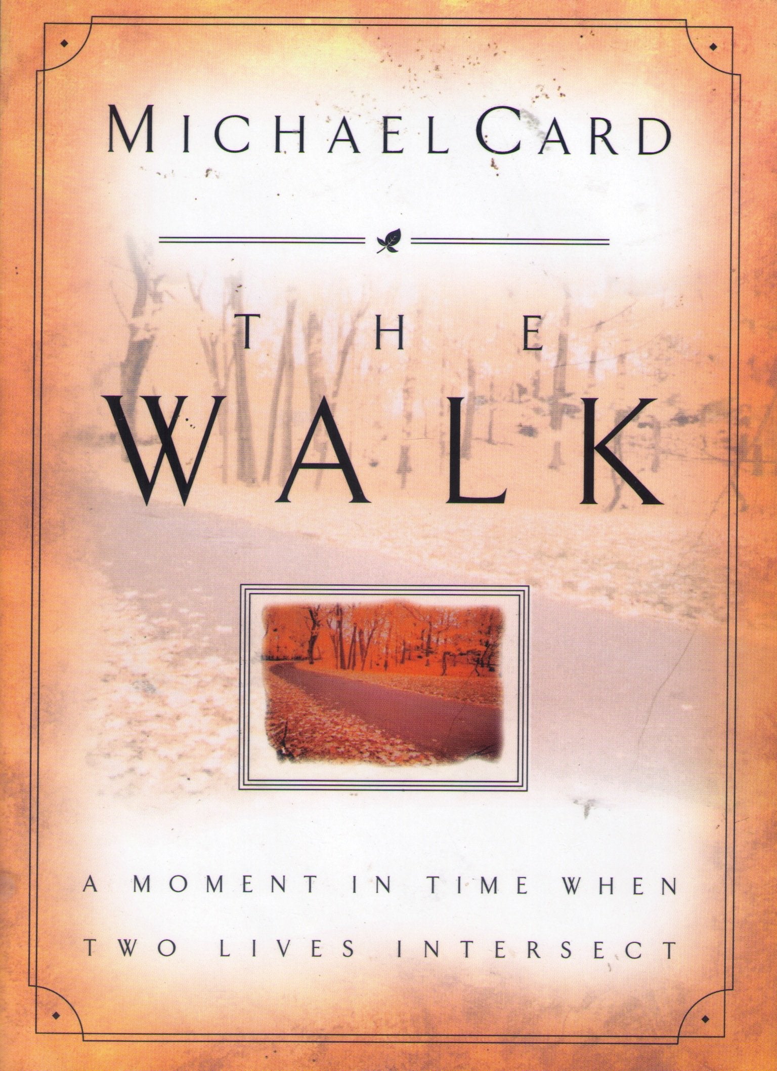 The Walk: A Moment In Time When Two Lives Intersect,Used