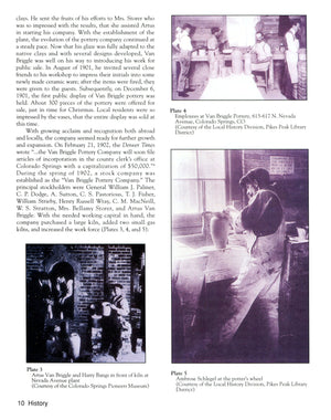 The Collector's Encyclopedia of Van Briggle Art Pottery: An Identification & Value Guide,Used